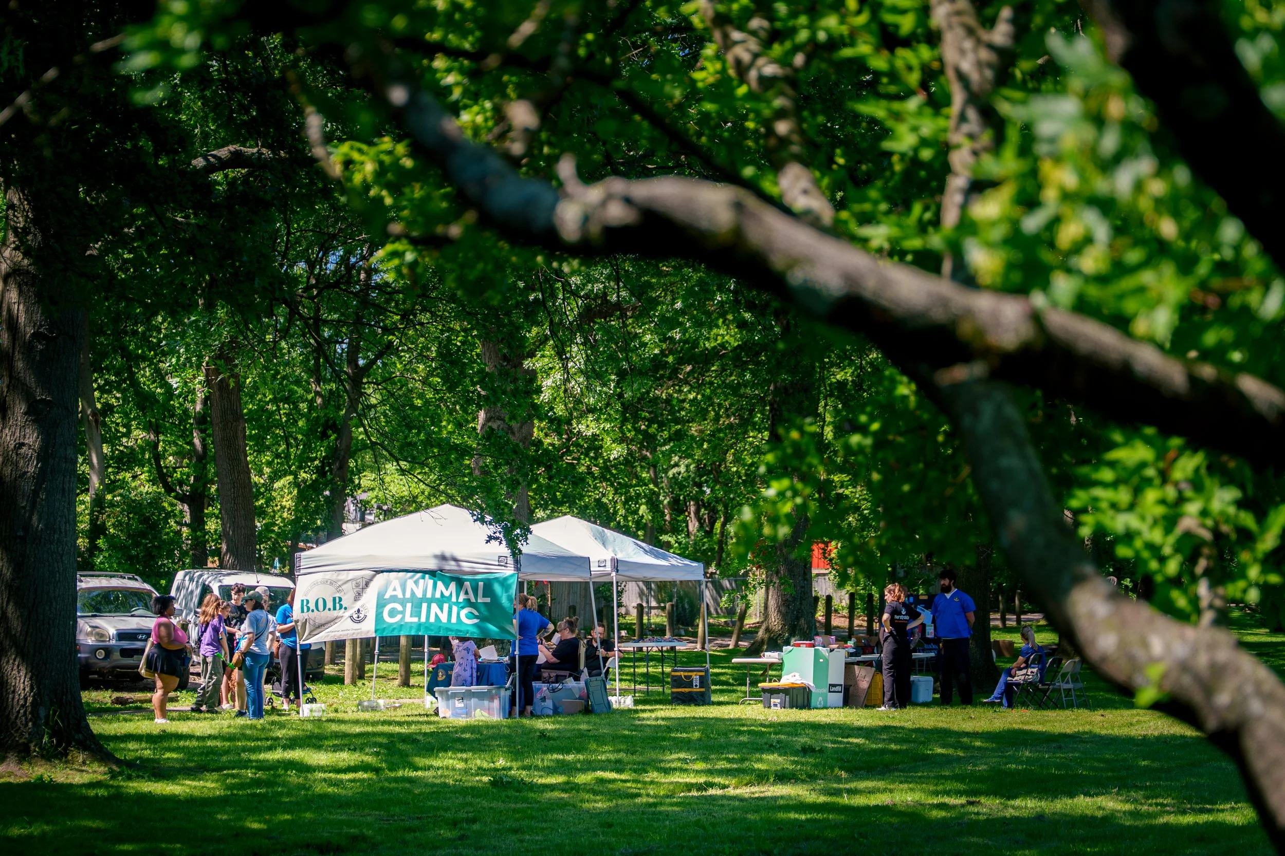 BOB Meriwether Fort Hill 19.jpg