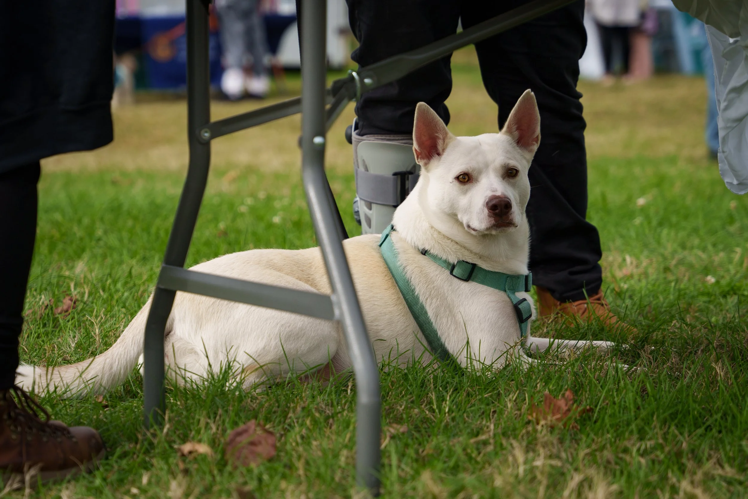 BOB 3rd Street 12.jpg