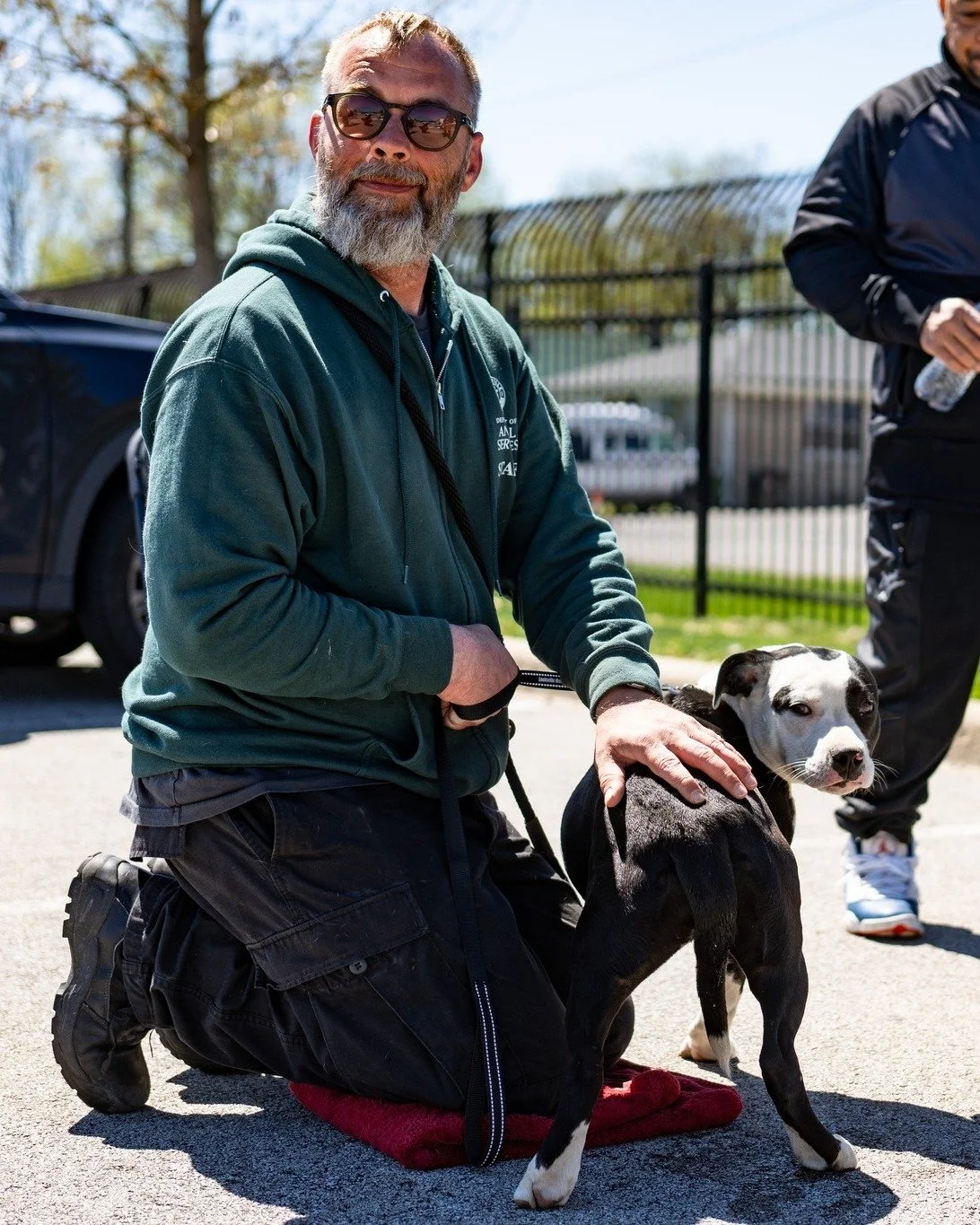 Lucky Horseshoe 11.jpg