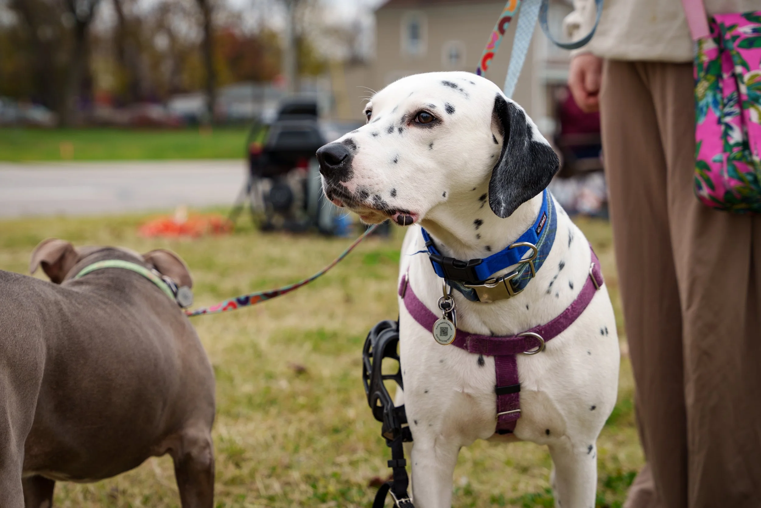 BOB 3rd Street 3.jpg