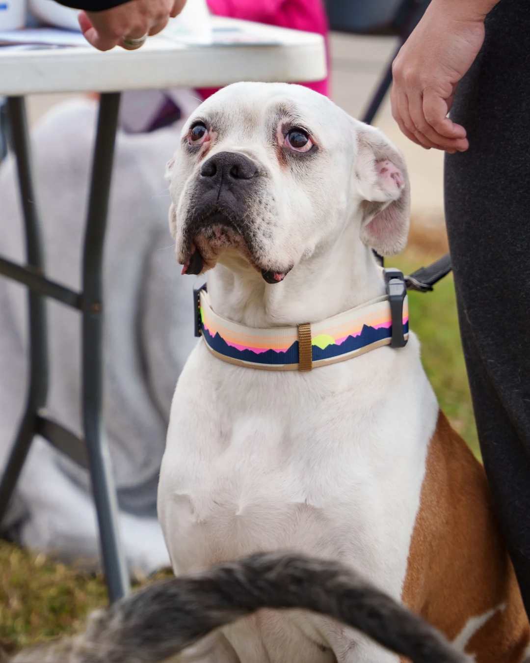 BOB Third Street LMAS Clinic - 3.PNG