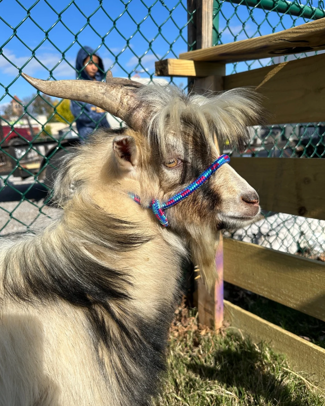 BOB Third Street Resource Fair - 23.PNG