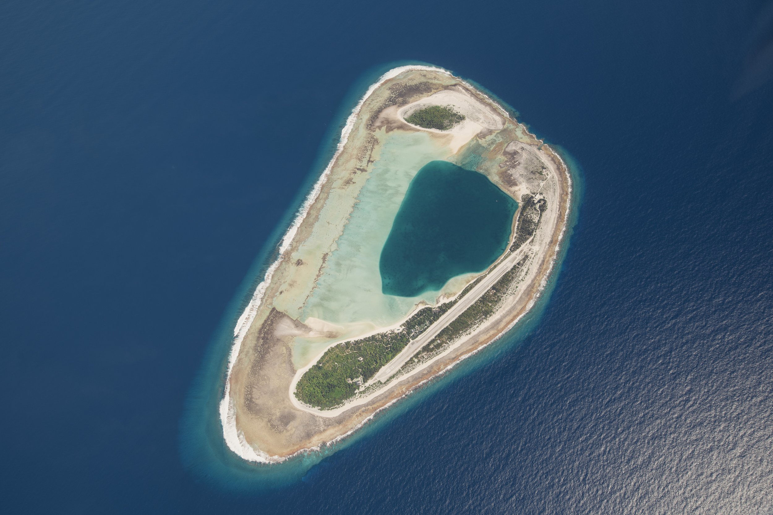 LR_Nukutepipi_3498.jpg
