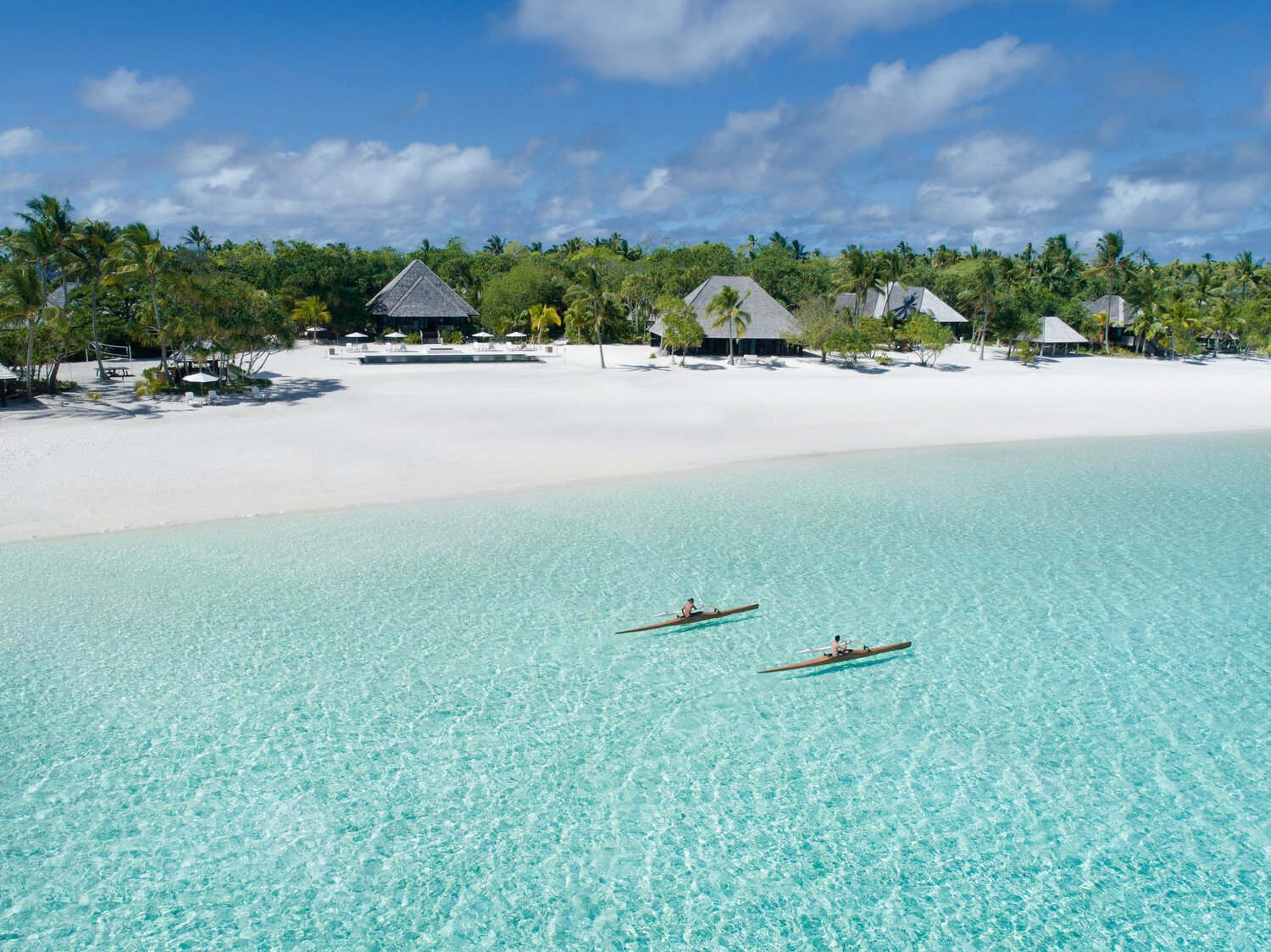 Nukutepipi+@+Flyingworldpictures-10.jpg