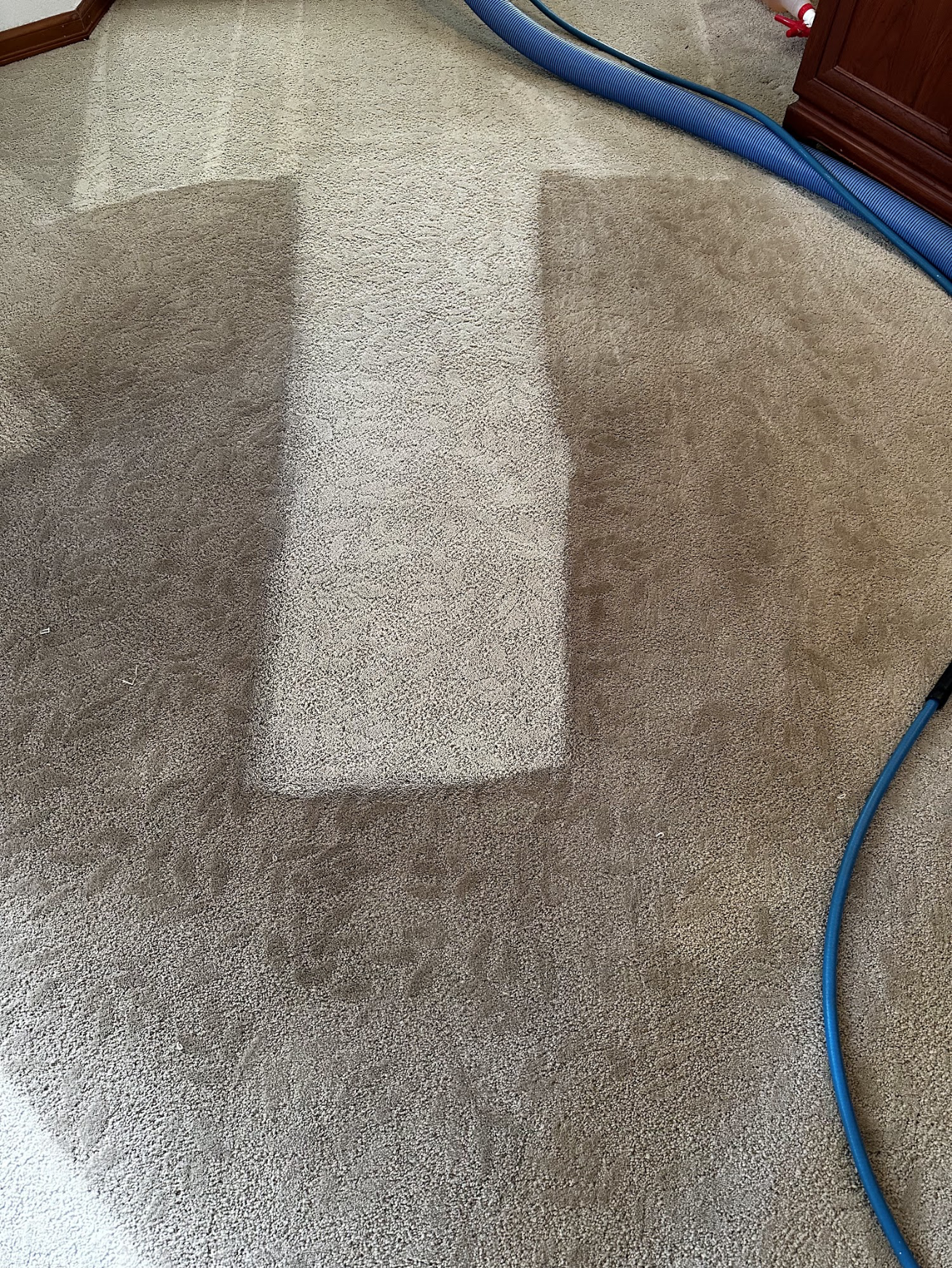 CarpetTransform.png