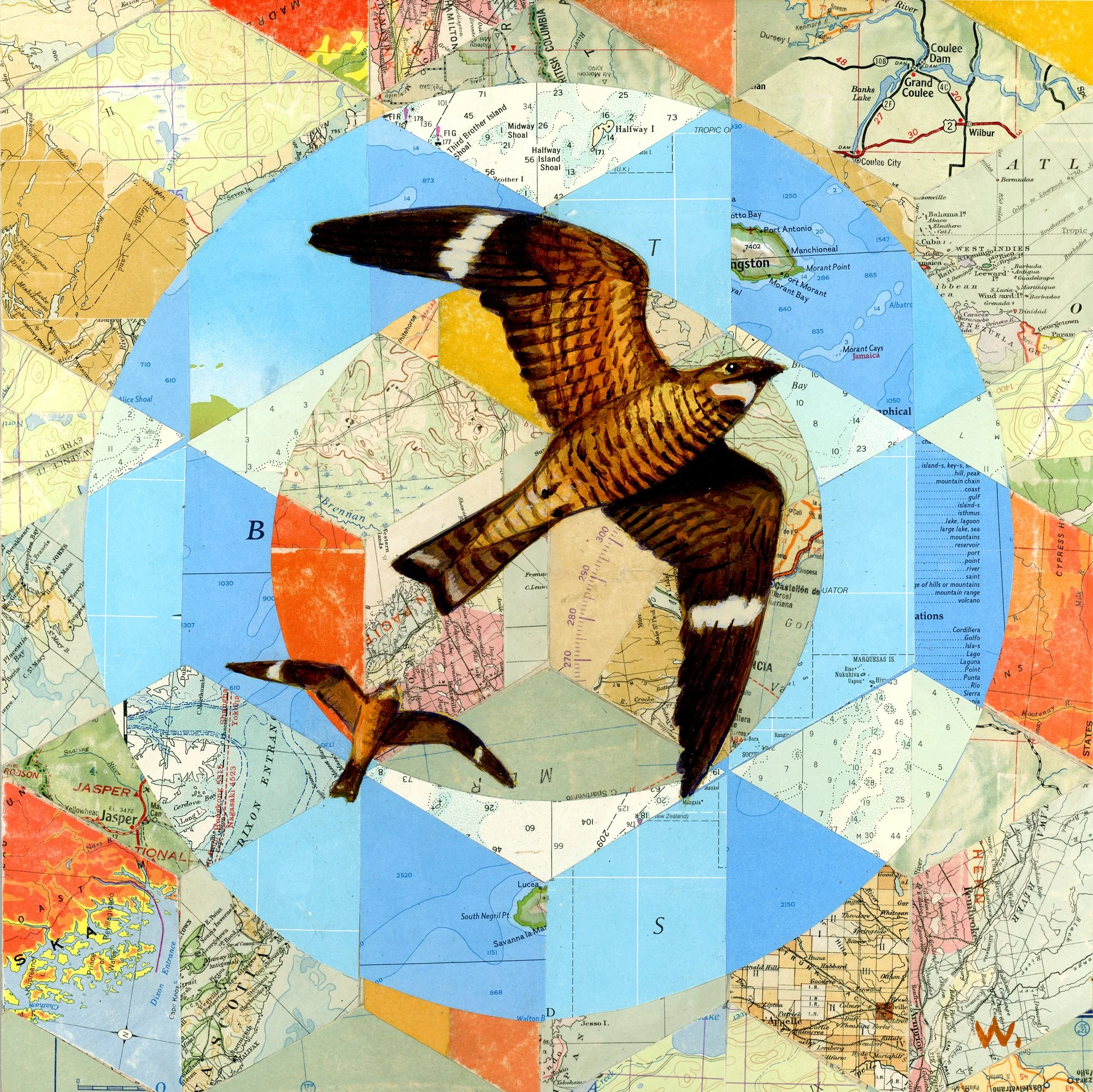 Nighthawks - At Risk