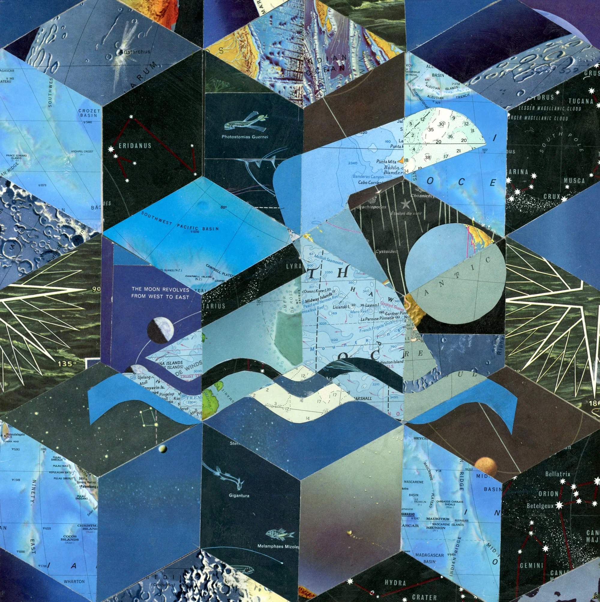 Night Swimmer - Explorer