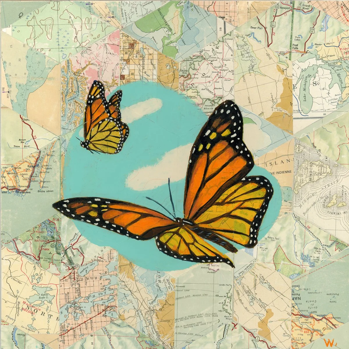 Monarch Butterfly - Migrant