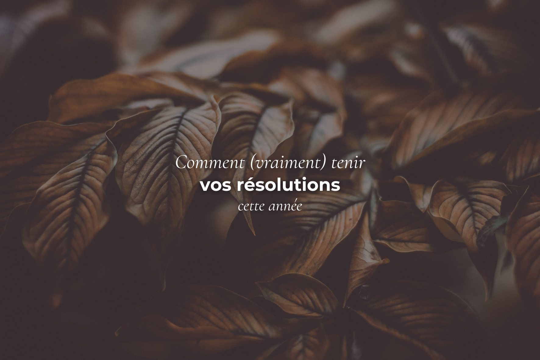 Comment (vraiment) tenir vos résolutions cette année