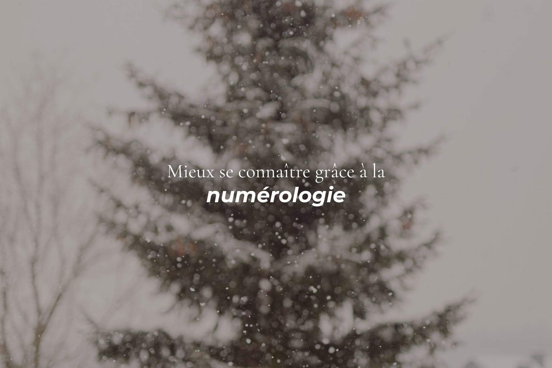 Mieux se connaitre grâce à la numérologie