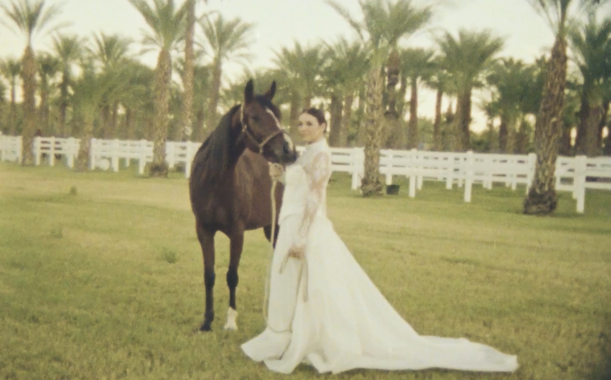 A woman in a white wedding dress standing next to a brown horse with a black mane in a grassy field with a white fence and trees in the background.