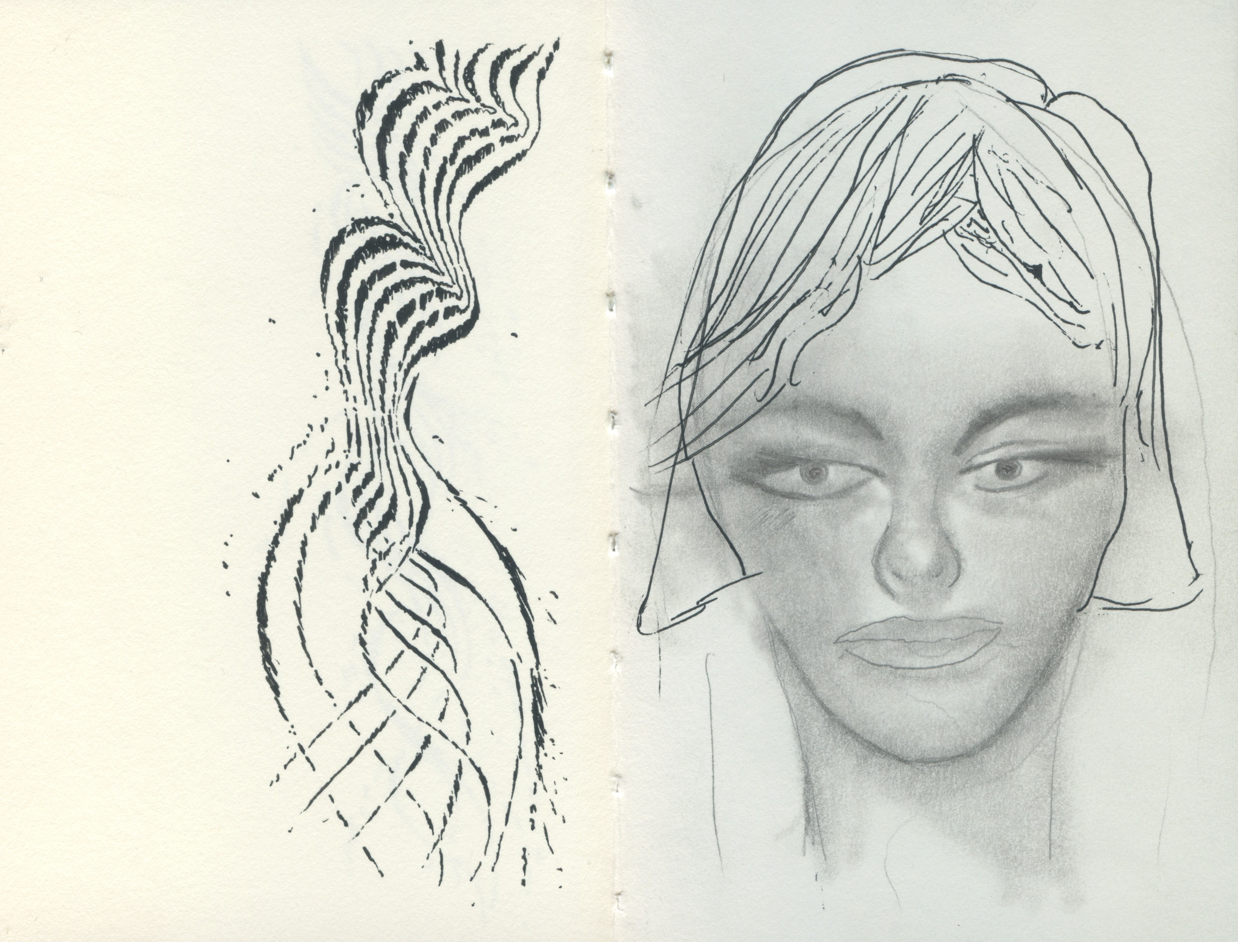 sketchbook spread 4" x 12" with mystery drawing on back