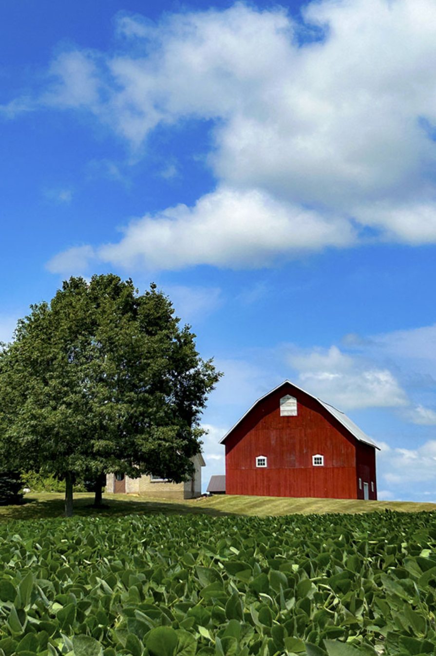 Screen Shot 2024-07-09 at 11.37.10 AM.png