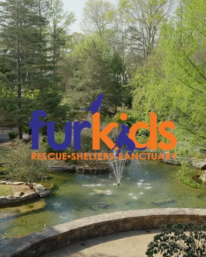 We always love getting the chance to work with @furkidsatlanta 🐾

It&rsquo;s especially cool seeing footage we captured being used in one of their recent campaigns and helping bring their mission to life.

If your brand or business needs high qualit
