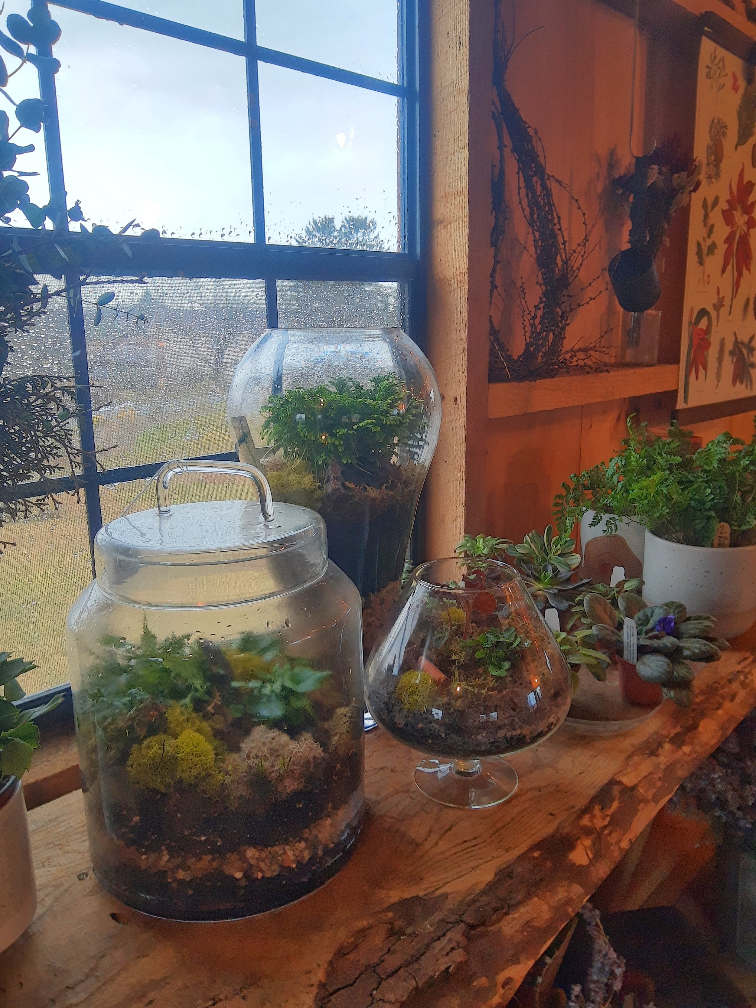 Private Terrarium Workshop