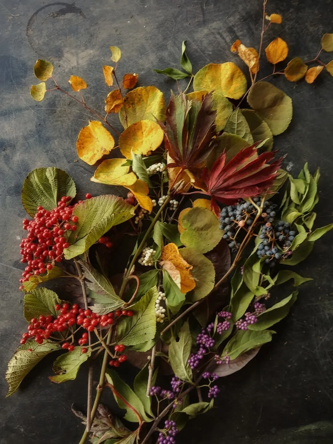 Why Autumn is the Best (and My Favorite) Season in the Garden