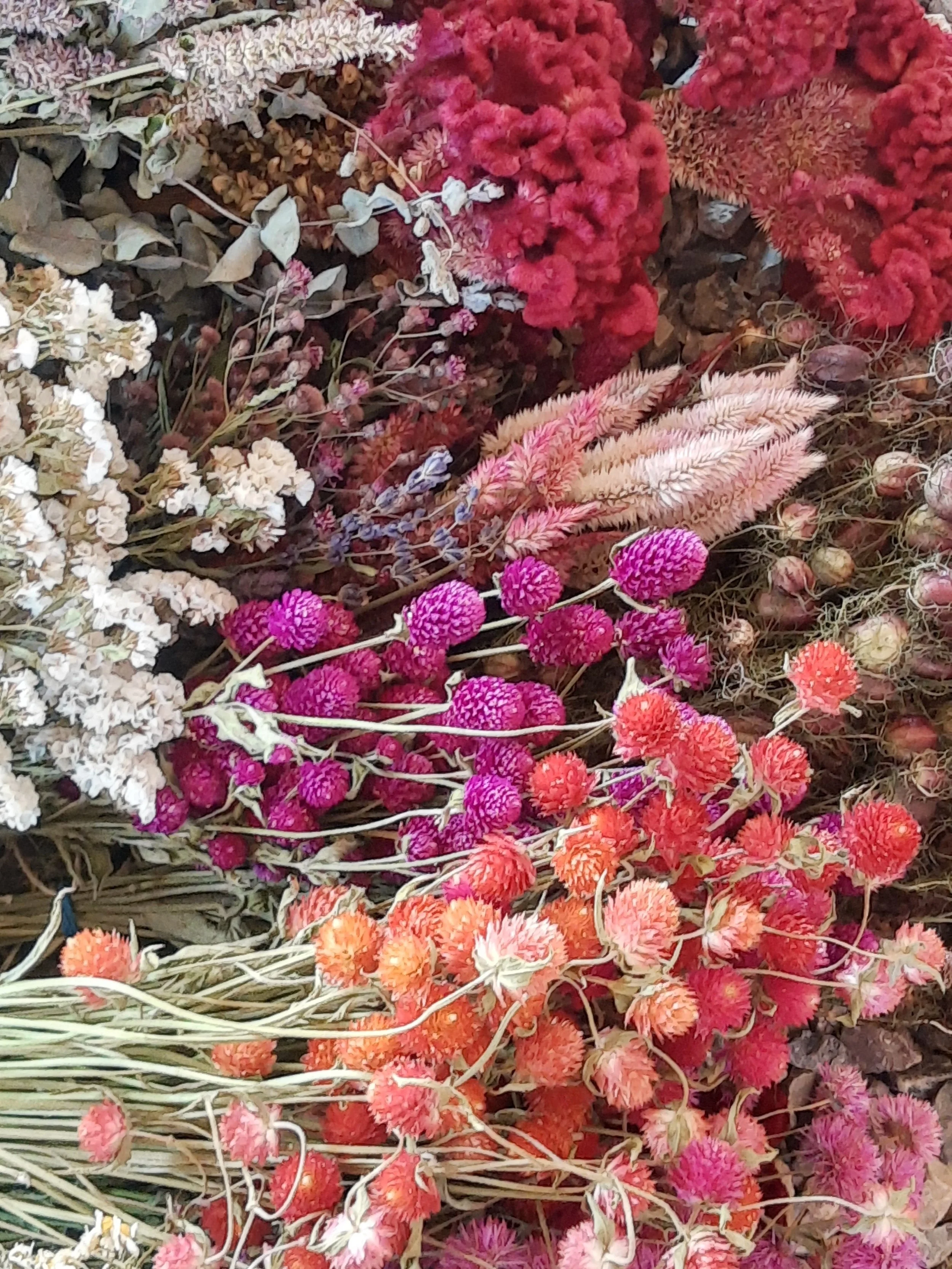 dried florals.jpg