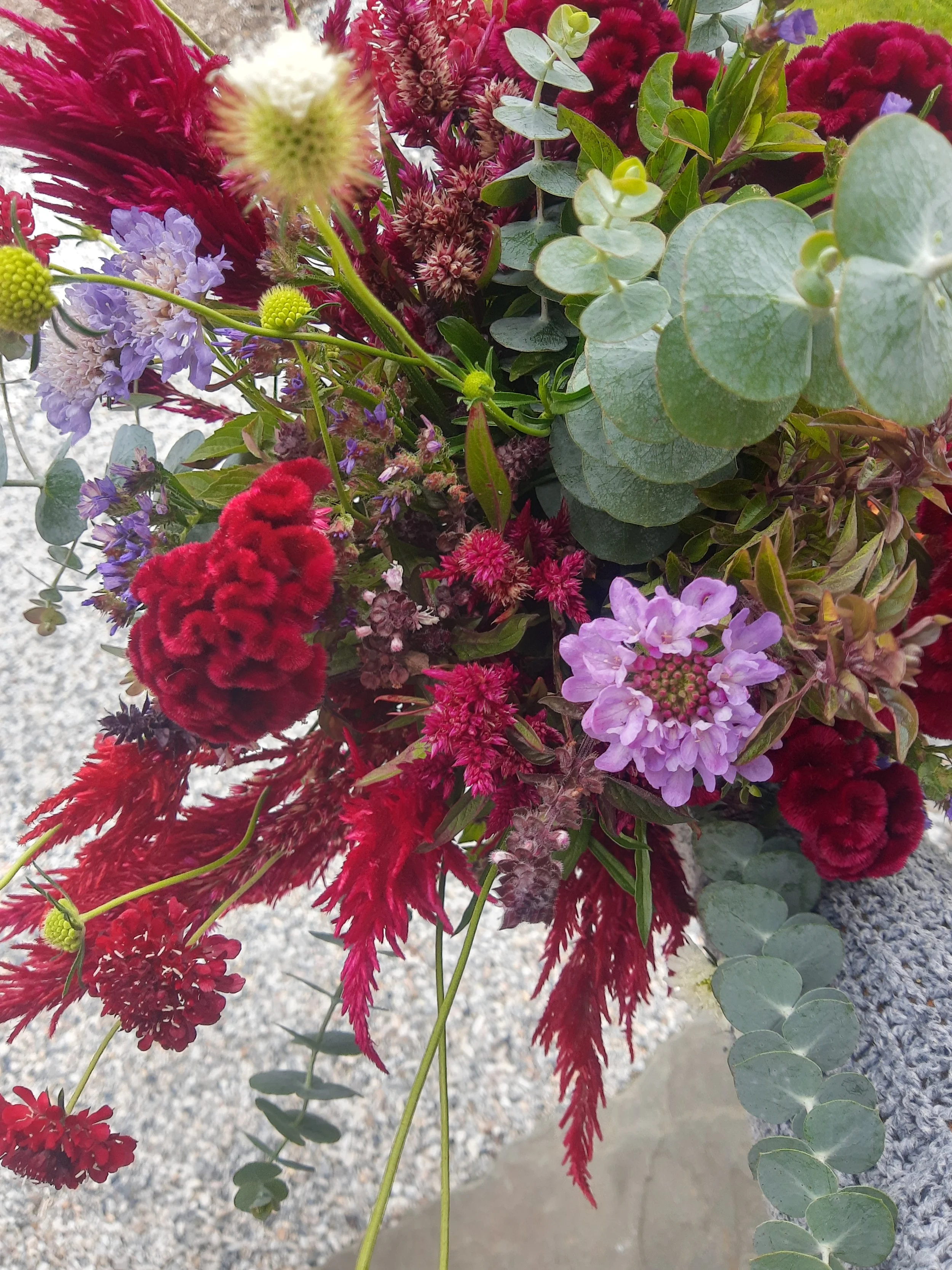 A vibrant bouquet of various flowers, including purple lavender, red celosia, pink astilbe, velvety red coxcomb, and green eucalyptus leaves.