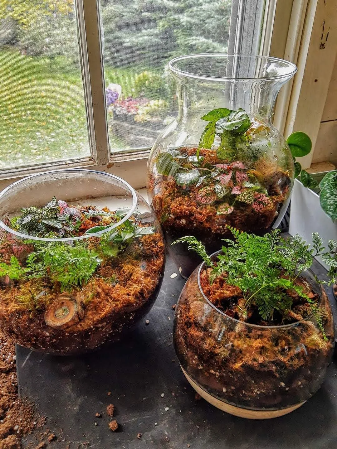 Private Terrarium Workshop