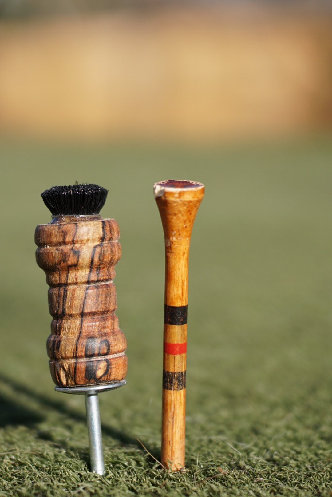 Red Oak tiny brush.JPG