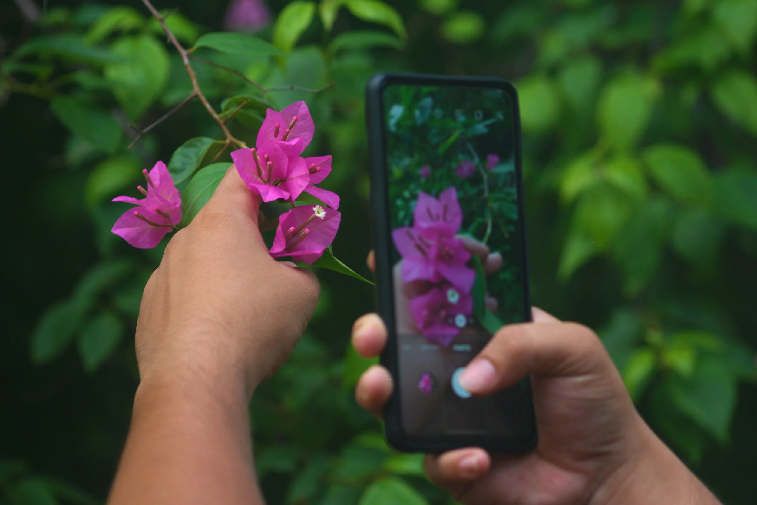 4 Must-Have Gardening Apps Every Beginner Needs