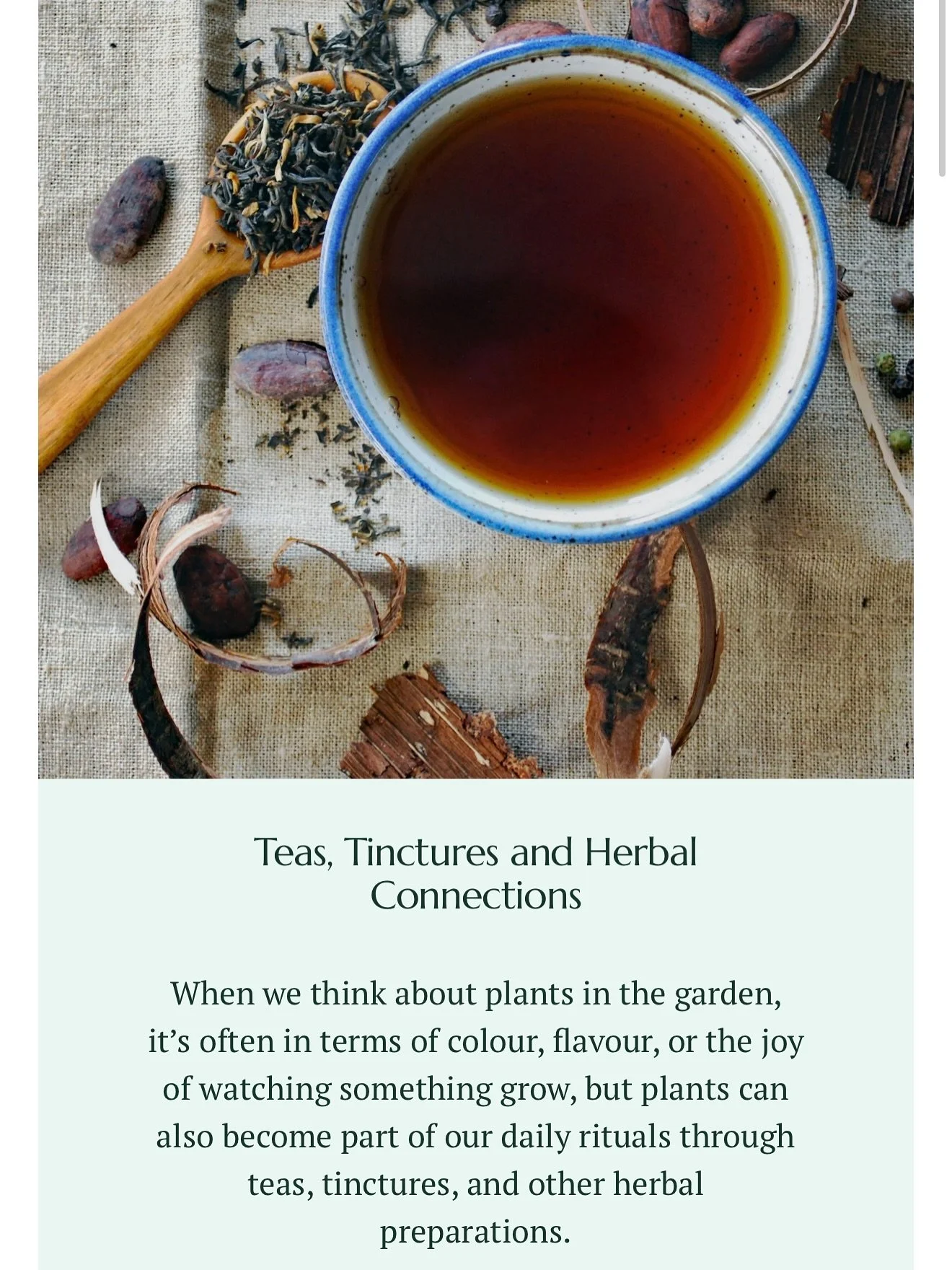 A flavour of some of the latest articles on plotandpetals.com ✍🏻 

☕️ Teas, Tinctures and Herbal Connections
📱 Four Must-Have Gardening Apps
🥬 Perennial Veg 101
🥔 Best Vegetables to Grow in Shade
☀️ Five Marvellous Gardens in Marrakech 

Links in