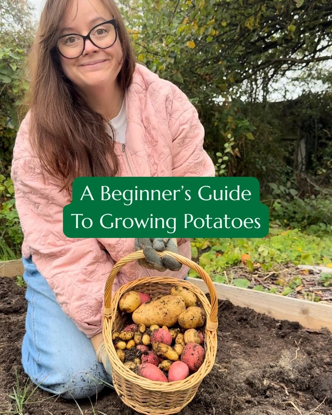 If you&rsquo;ve ever fancied growing your own roasties but find yourself stood in the garden centre wondering which seed potatoes to buy&hellip; this one&rsquo;s for you!

This carousel will tell you: 🥔 what first earlies, second earlies and maincro