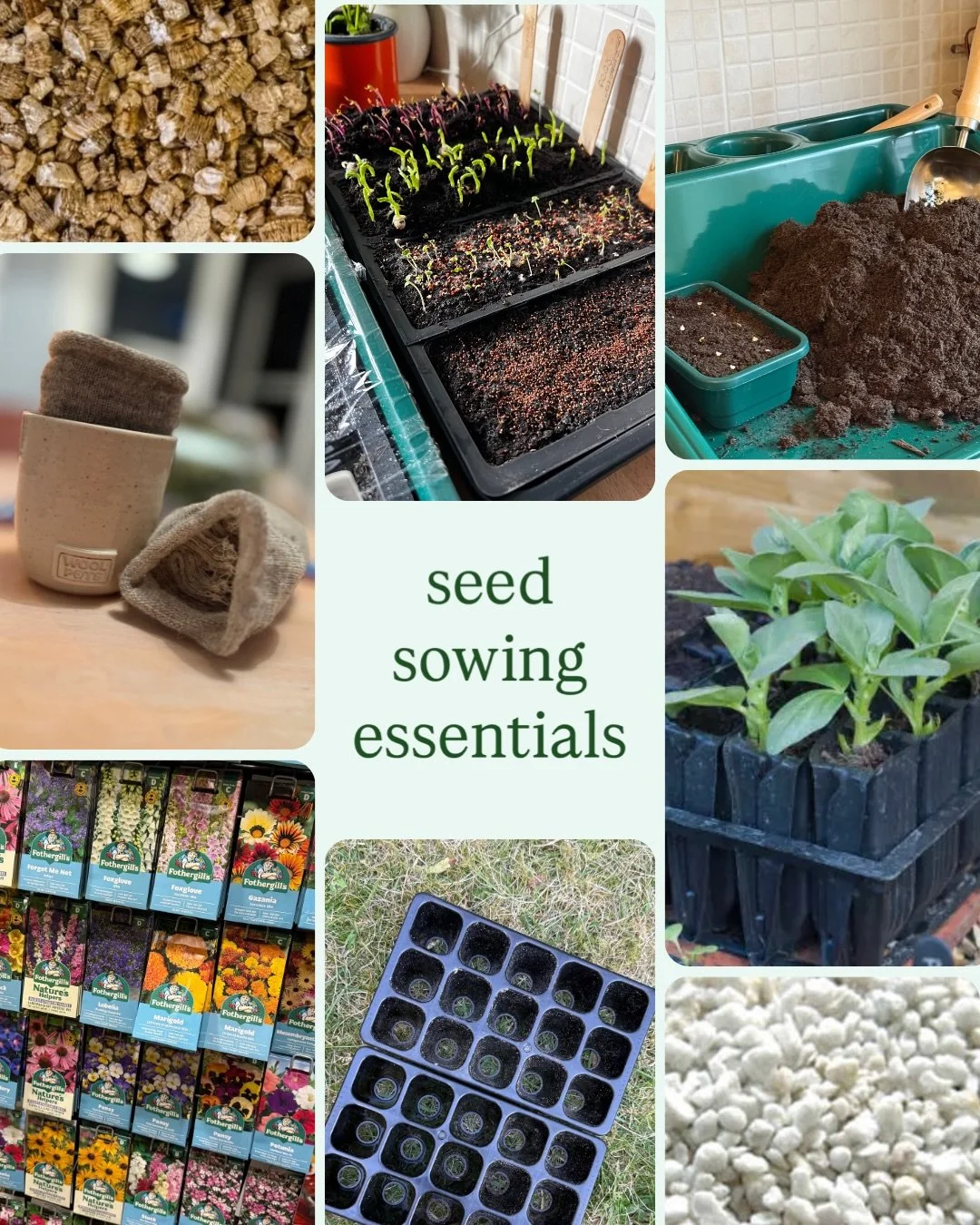 Seed sowing season is quickly creeping up on us (yay!). If you&rsquo;re sowing seeds for the first time, here are some essentials I would recommend:
🌱 a packet or two of seeds (of course!) 
🌱 seed compost
🌱 perlite
🌱 vermiculite
🌱 something to p