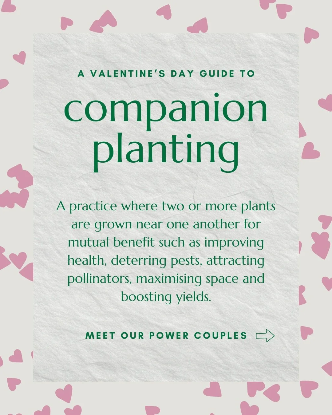 Companion plants are the real power couples 💚 They are proof that the best relationships are rooted in good soil and mutual support.

If you&rsquo;re planning your growing space for the upcoming season then why not make the most of your space with s