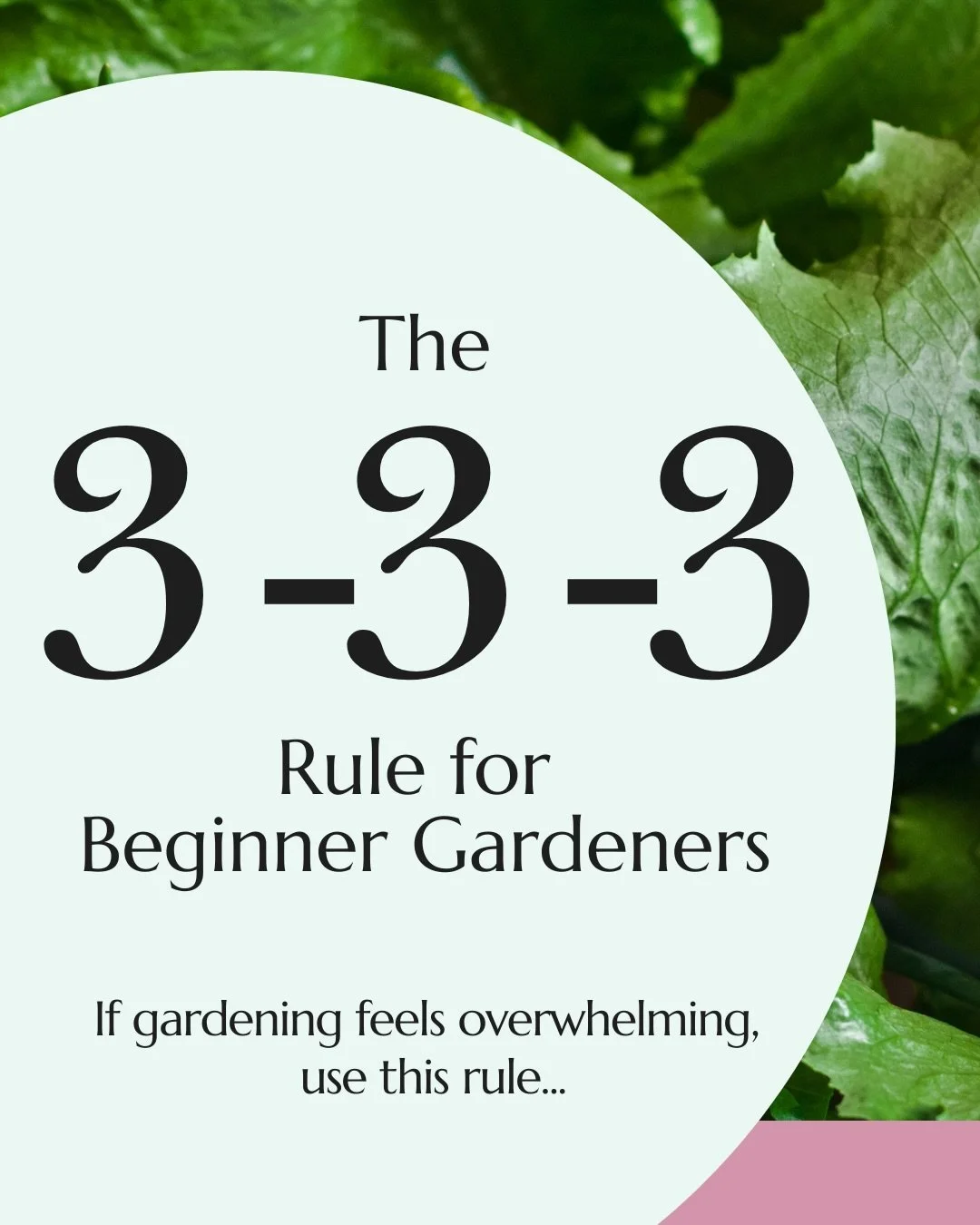 Gardening feels complicated when you try to grow everything at once. So don&rsquo;t!

Use the 3-3-3 rule instead.

Grow 3 vegetables. Plant every 3 weeks. Stick with it for 3 months.

I would recommend starting with:
🥬 Lettuce 🌱 Radishes 🍃 Spinach