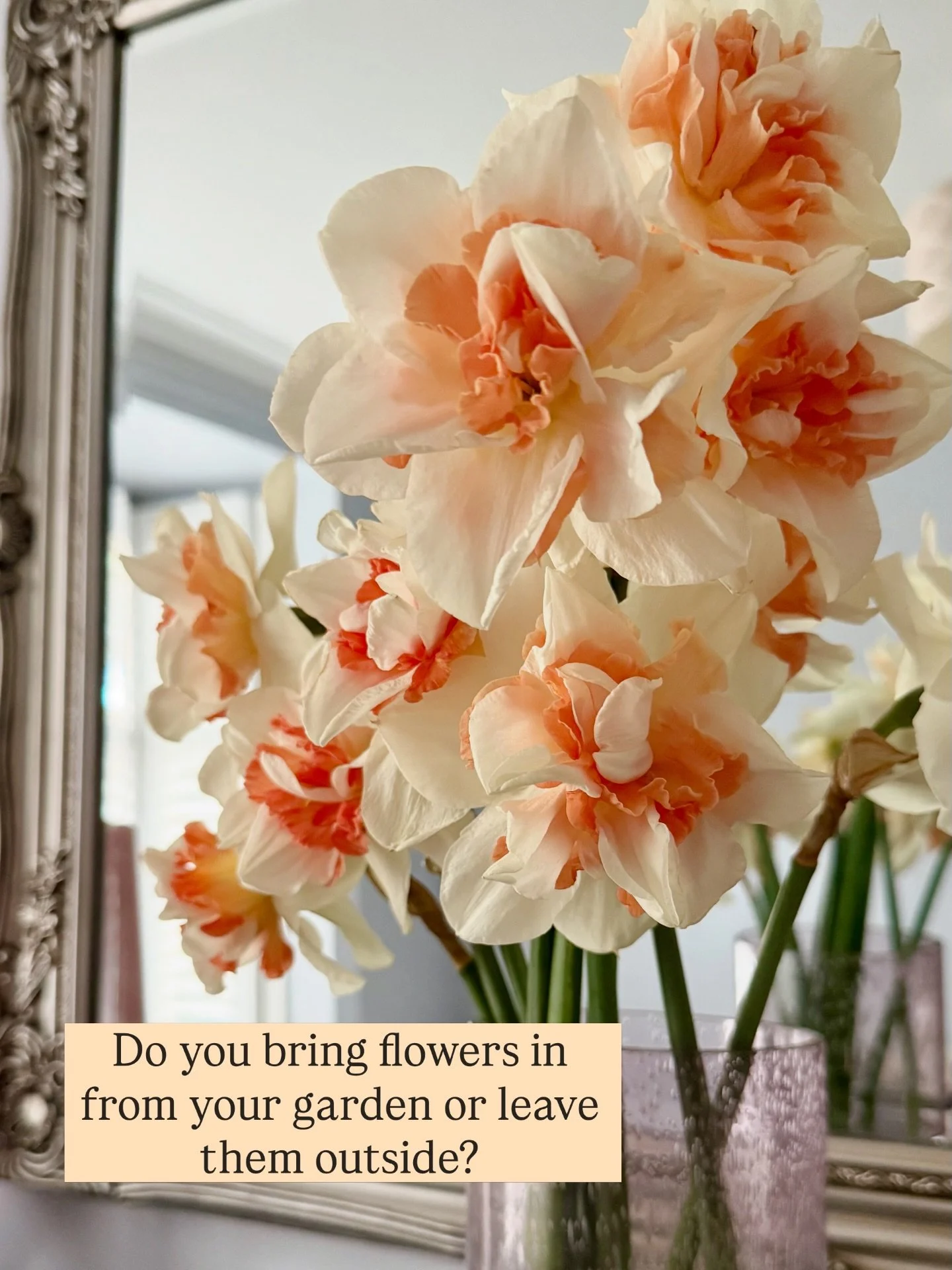 A vase full of ruffled daffodils can completely change a room 🌼
 These are &lsquo;Replete&rsquo; daffodils from @therosepressgarden . Cut at the weekend from the allotment and still filling the space with colour, delicate fragrance and that fresh sp