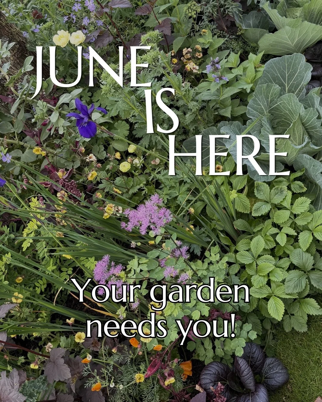 Your June garden checklist is here!

June is one of the busiest months in the garden but it doesn&rsquo;t have to feel overwhelming. If you break it down into small jobs and you&rsquo;ll stay on top of everything without it all feeling like too much.