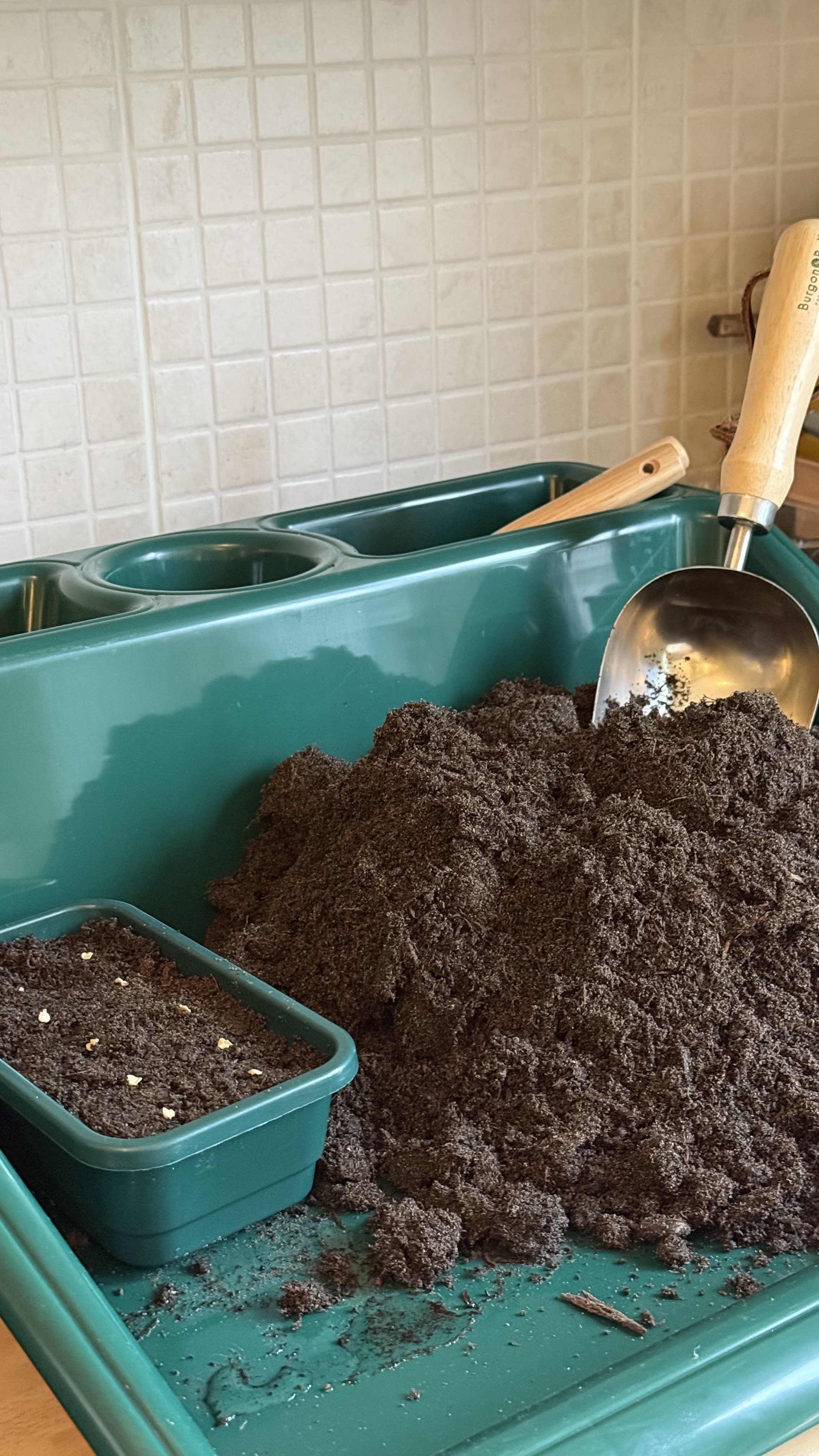 March Garden and Allotment Jobs