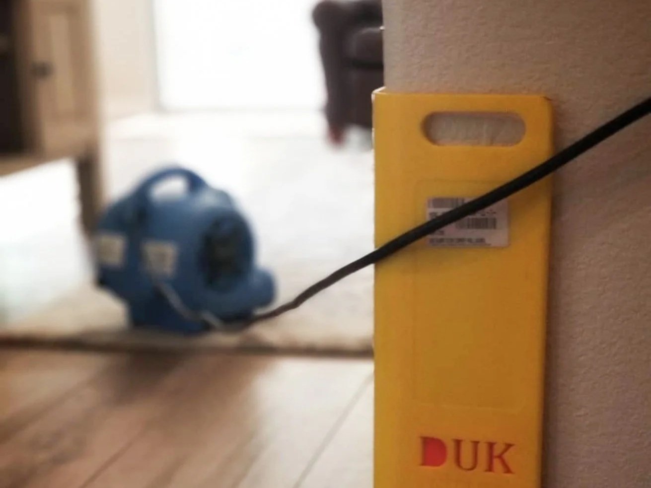 Carpet cleaning Carlsbad Ca