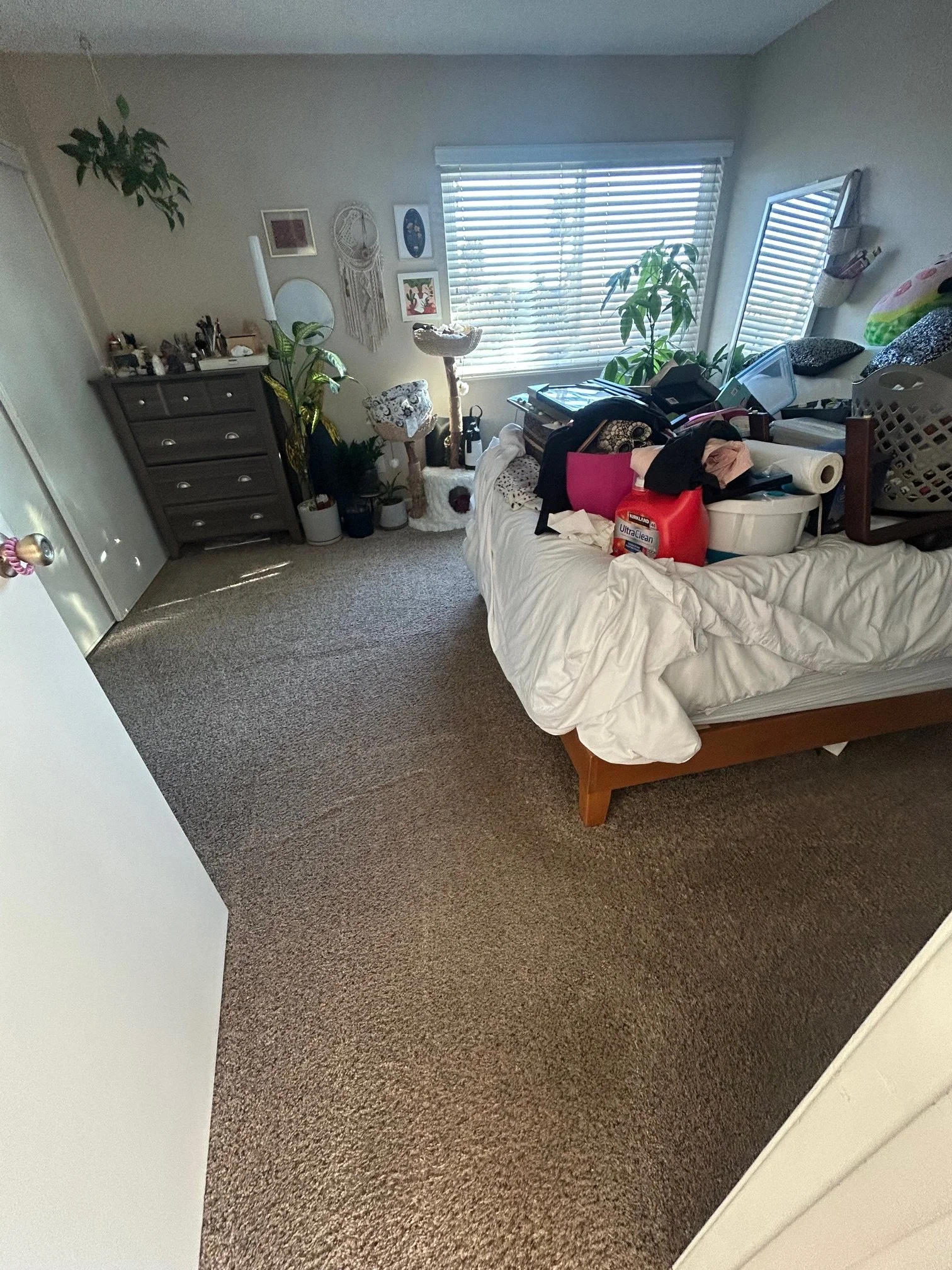 Carpet Cleaning for High-Traffic Areas