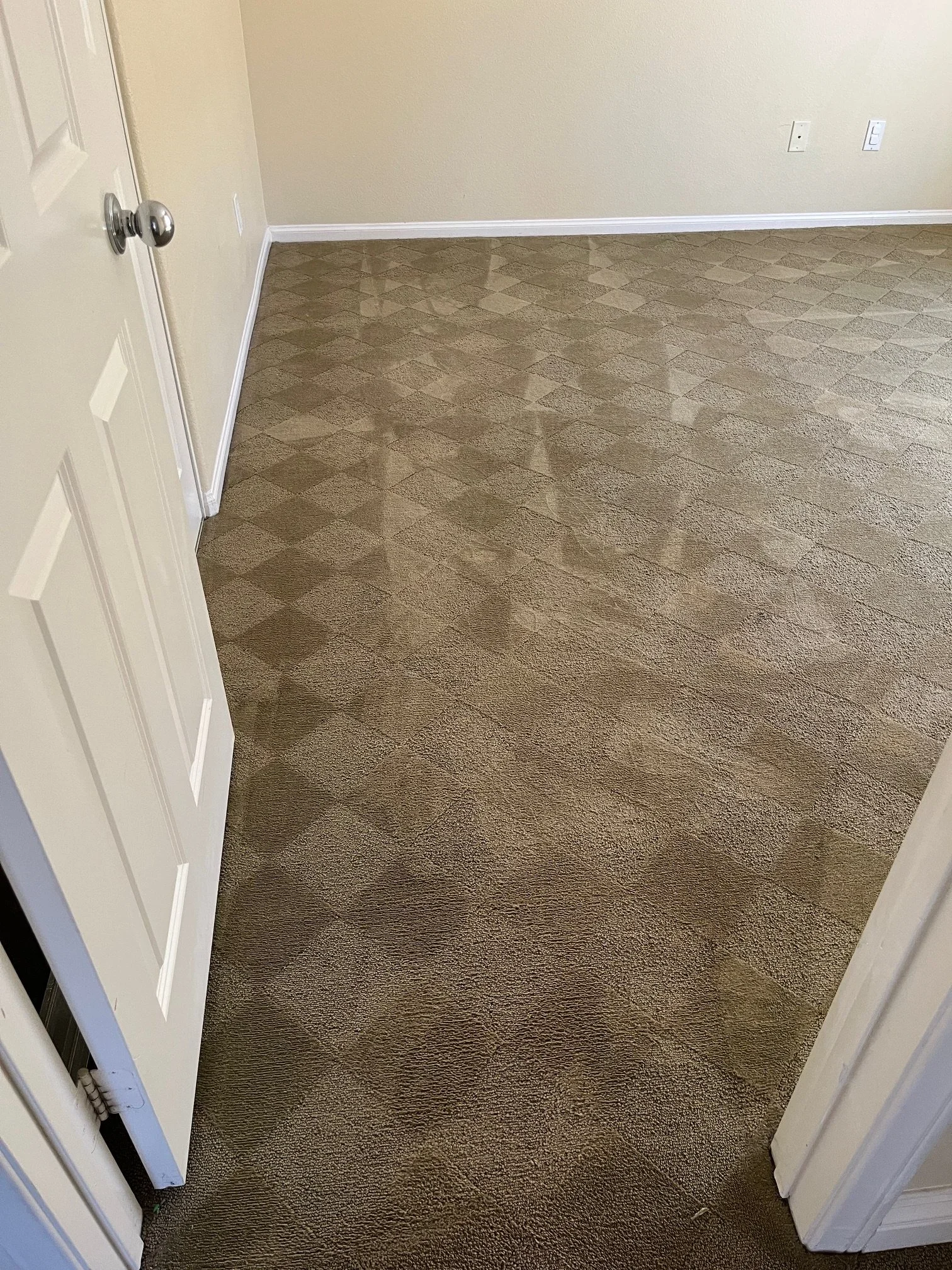 Carpet Dye &amp; Bleach Spot Repair