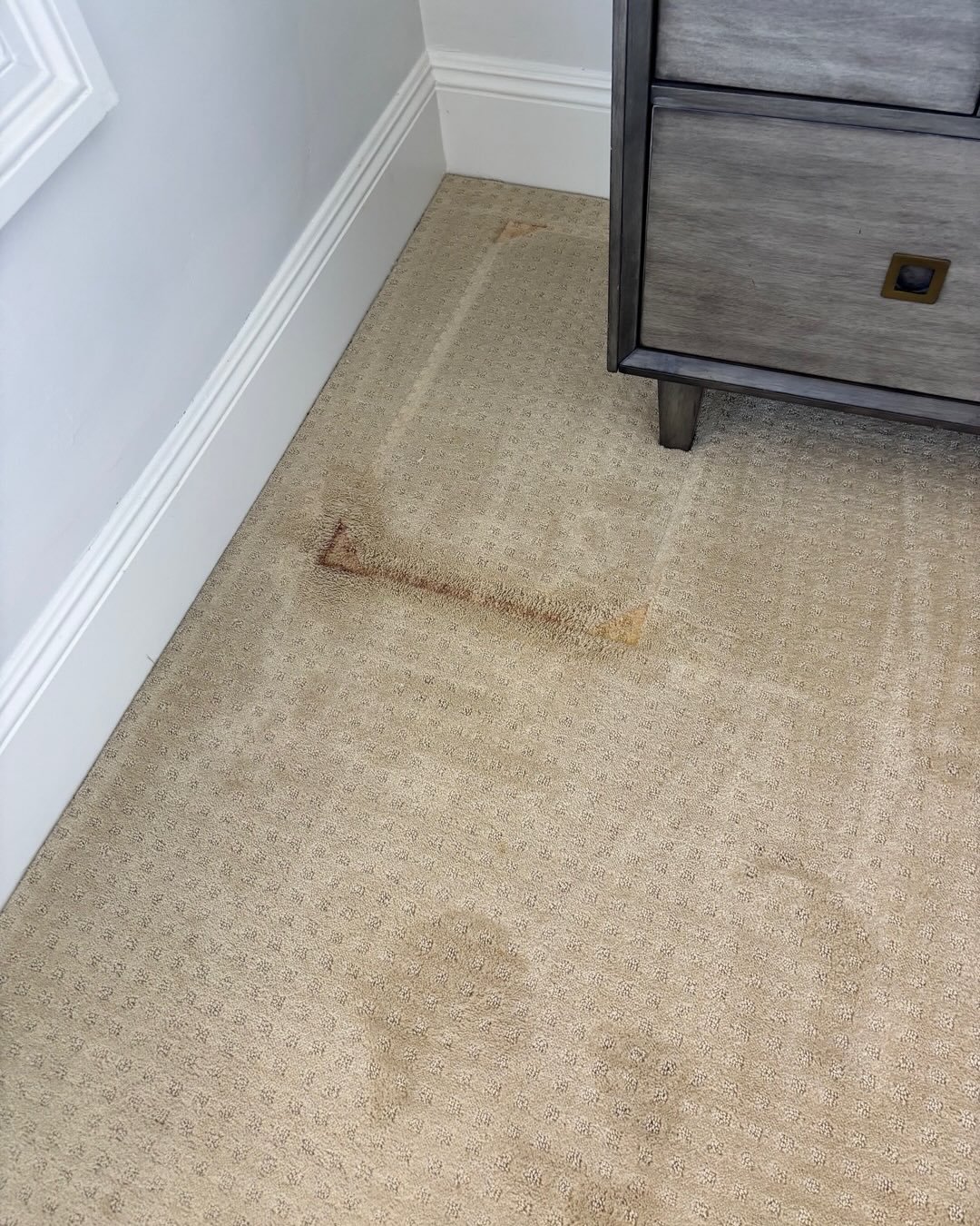 before pic of carpet cleaning stain removal carlsbad ca.jpg