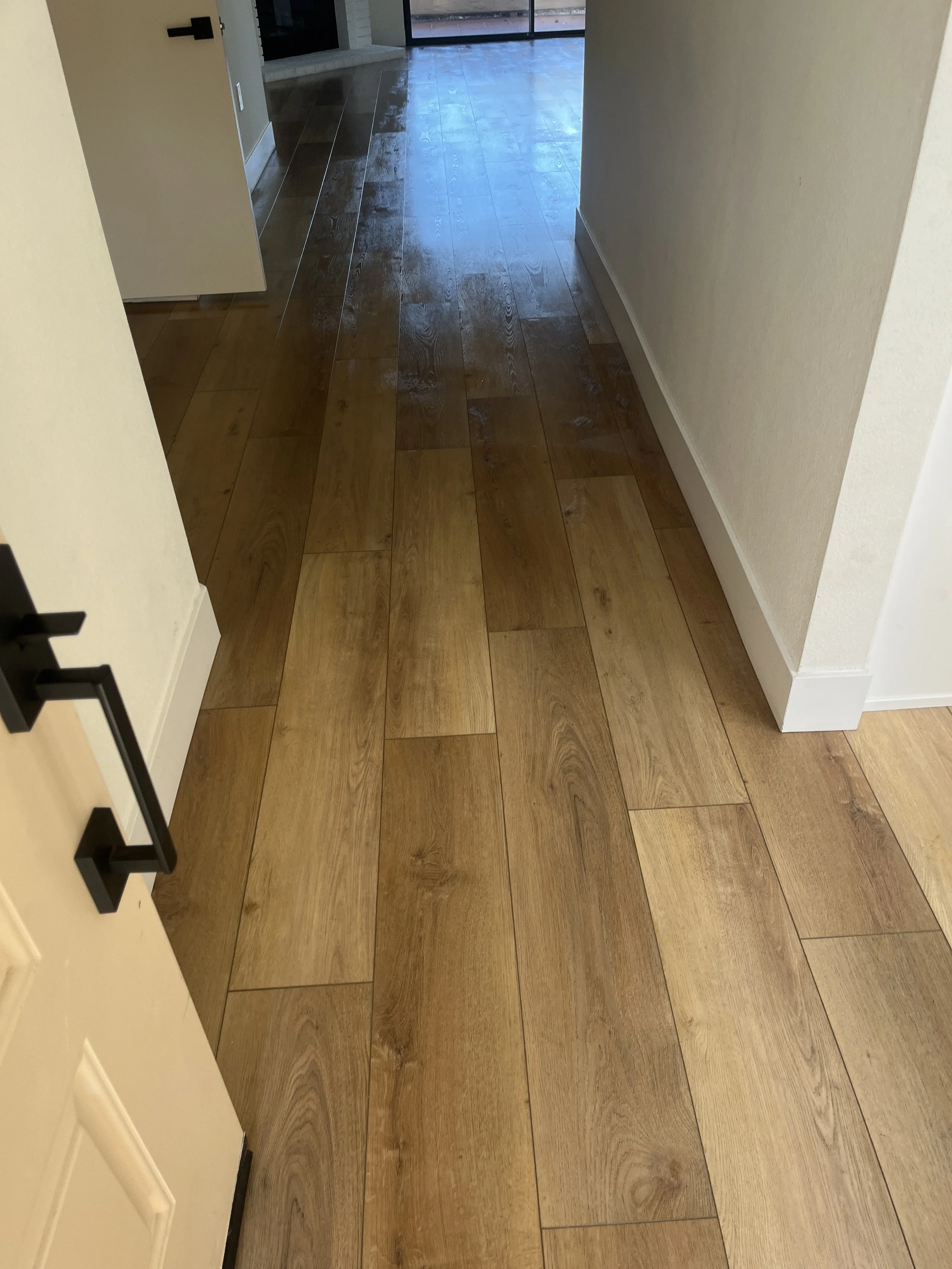 Pet Odor Removal from Plank Flooring in Carlsbad