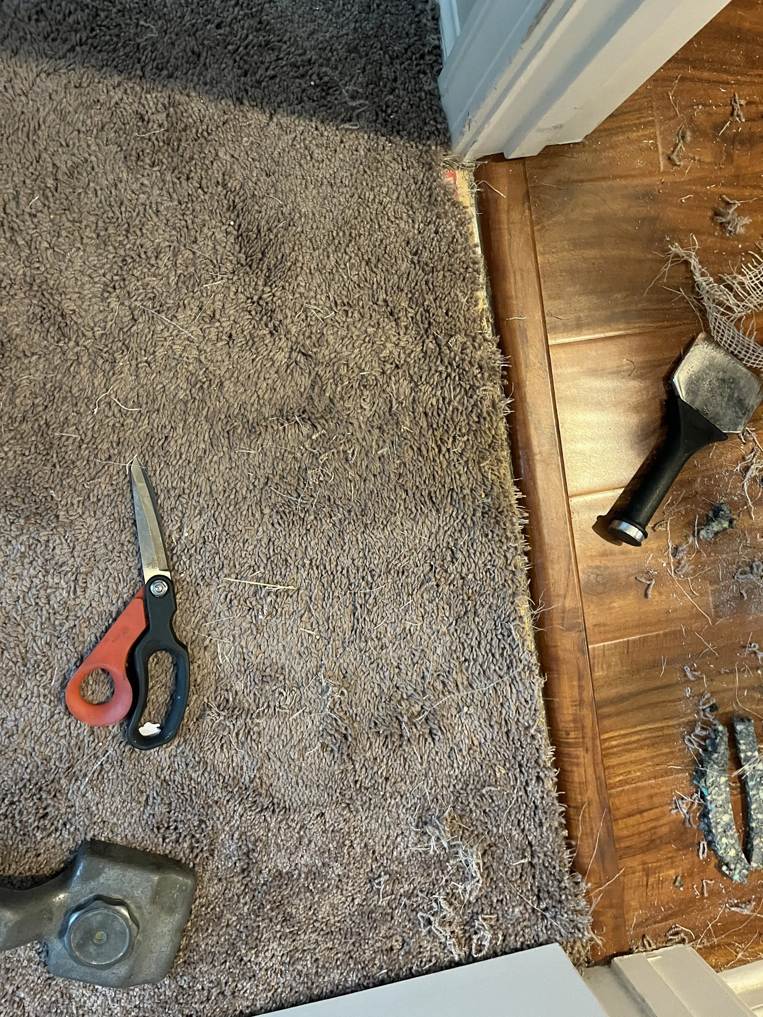 Carpet repair from pet damage carlsbad ca.JPG