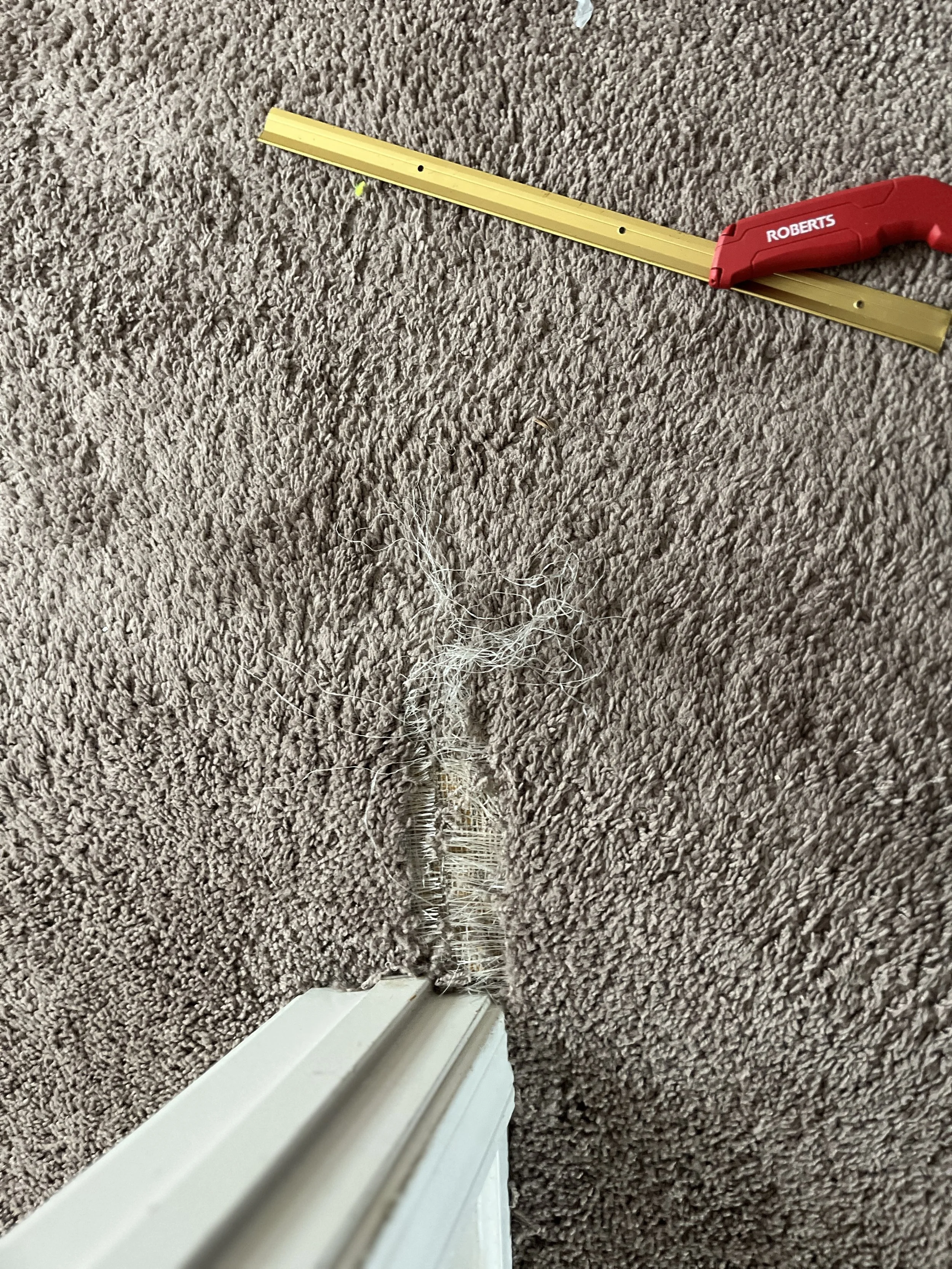Carpet repair  pet damage.jpg