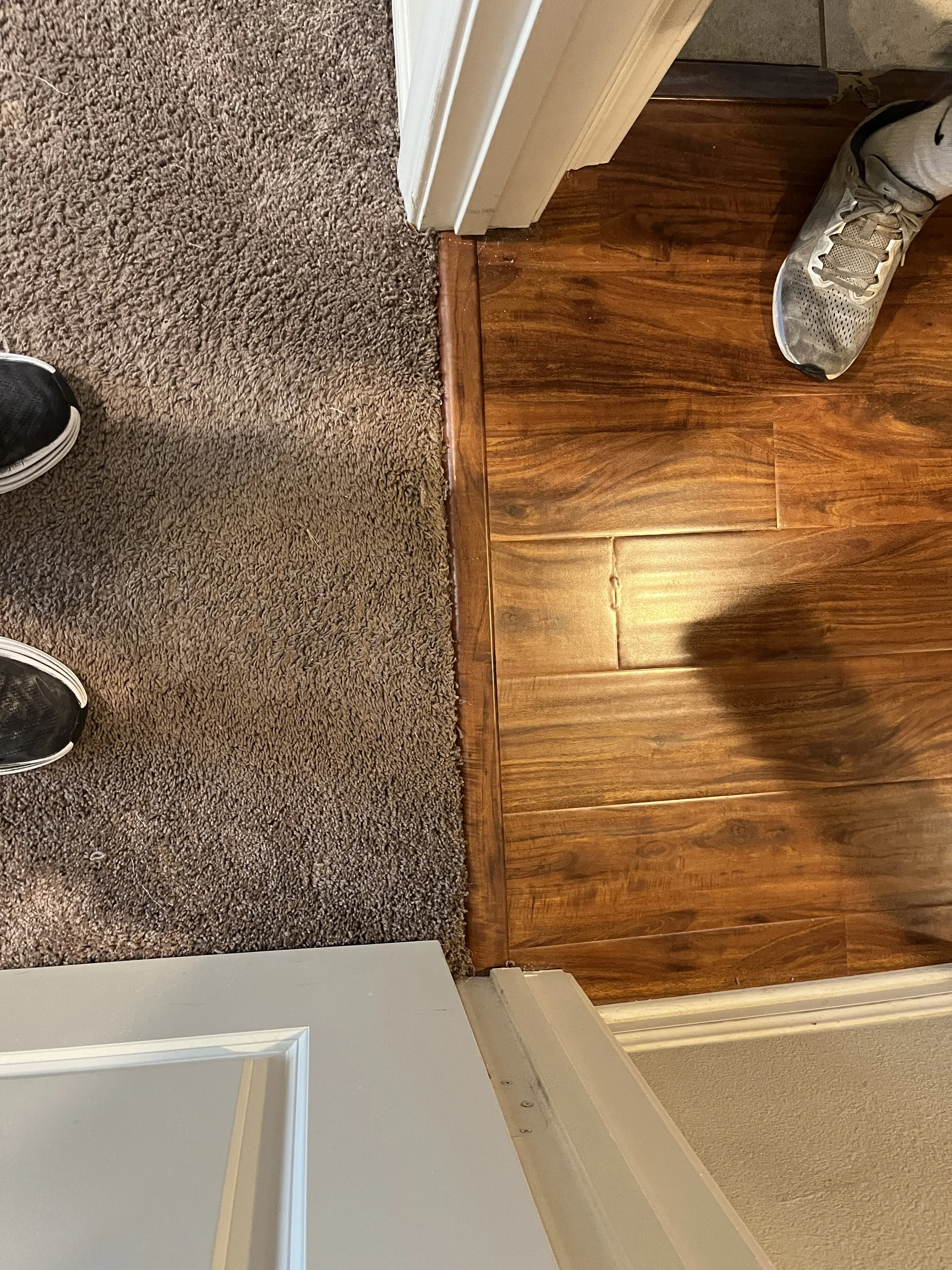 Carpet repair from pet damages.JPG