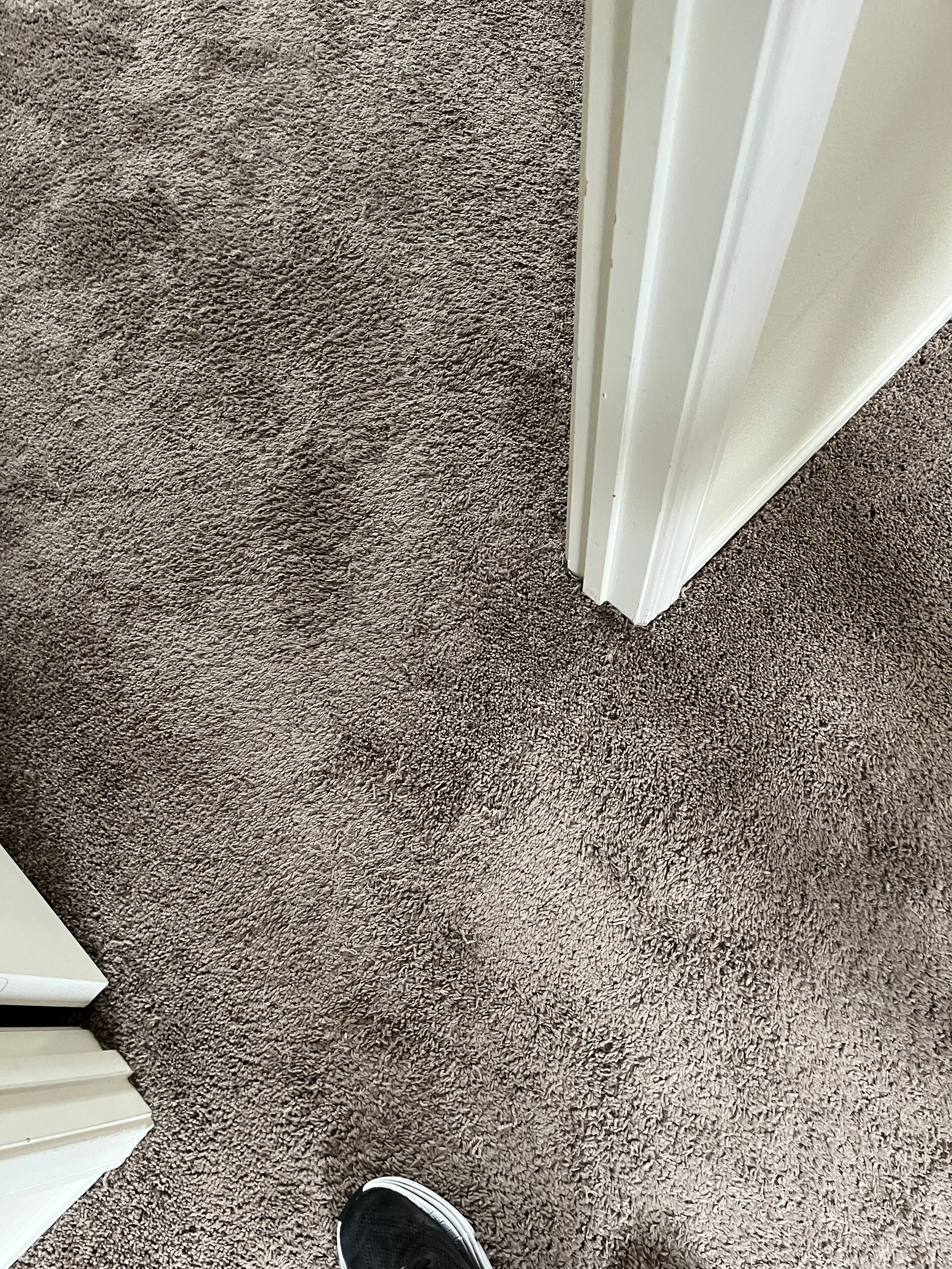 Carpet repair from pet damage.JPG