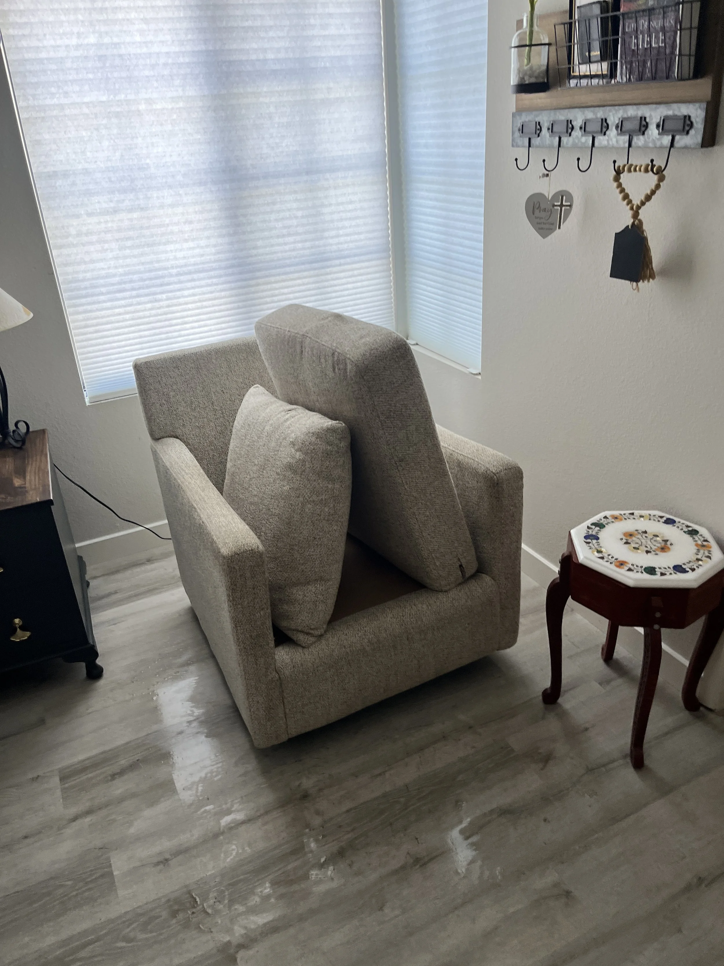 Cleaning all upholstery in Vista.JPG
