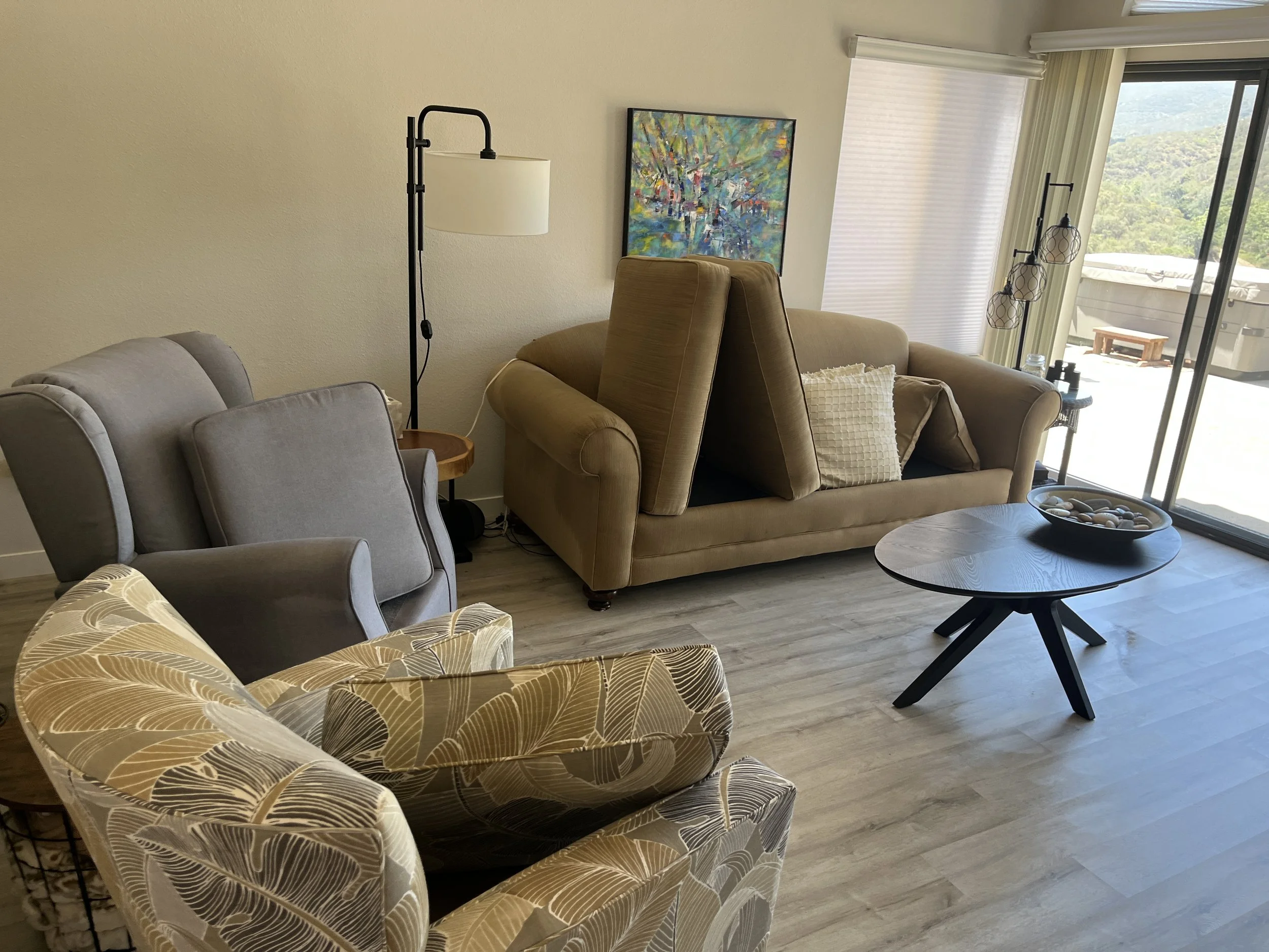 upholstery cleaning in Vista.JPG