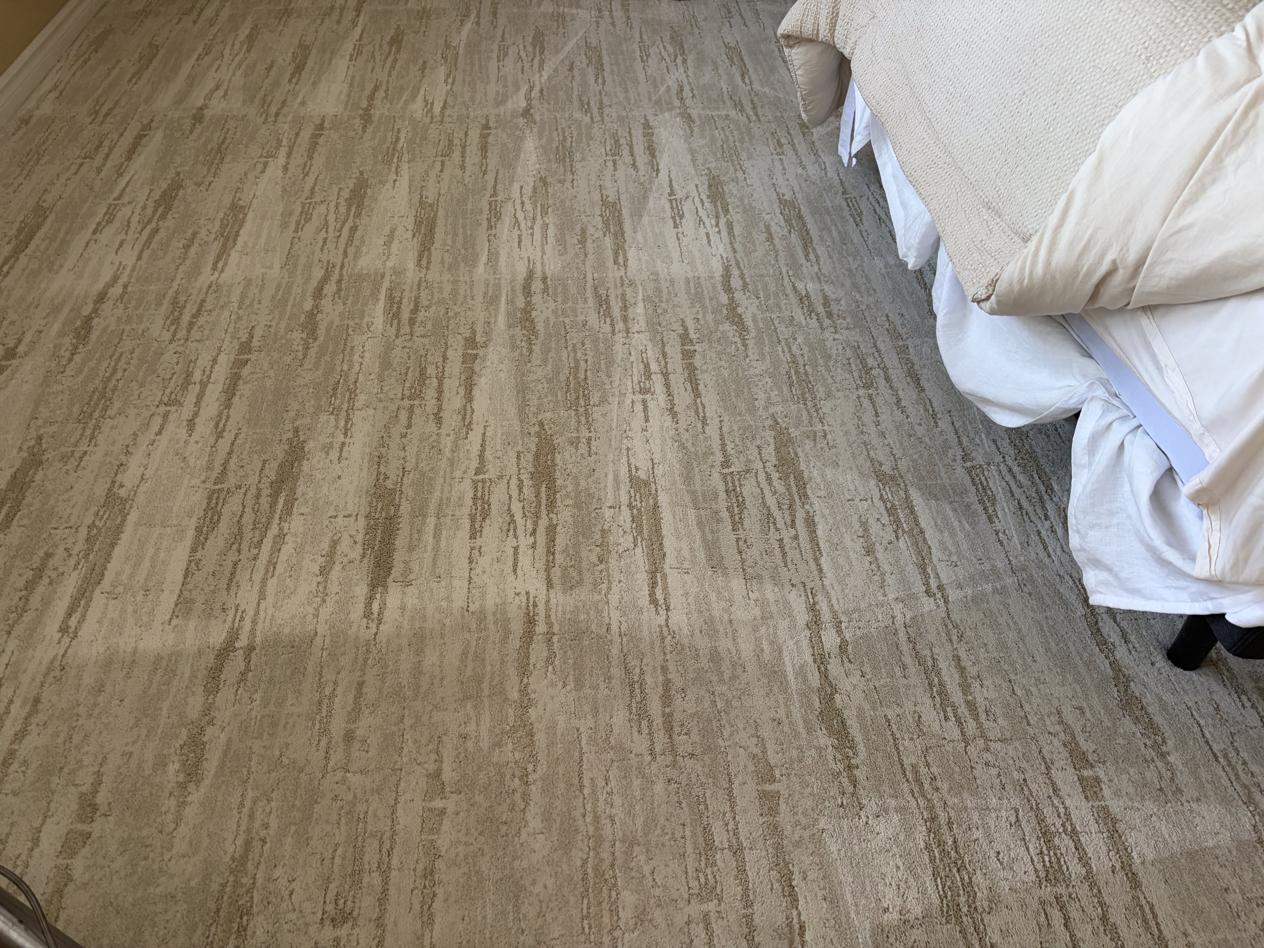 Your Carpet May Be Dirtier Than It Looks