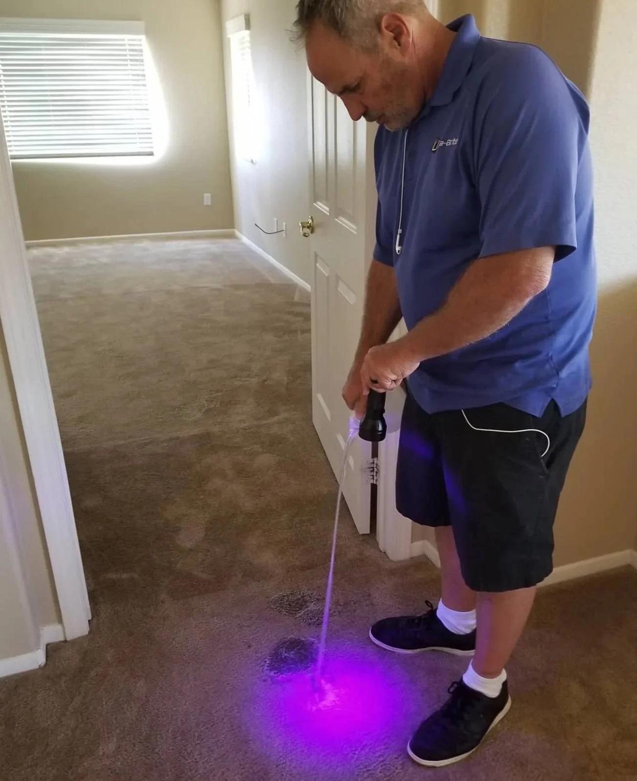 Professional carpet cleaning in Carlsbad CA