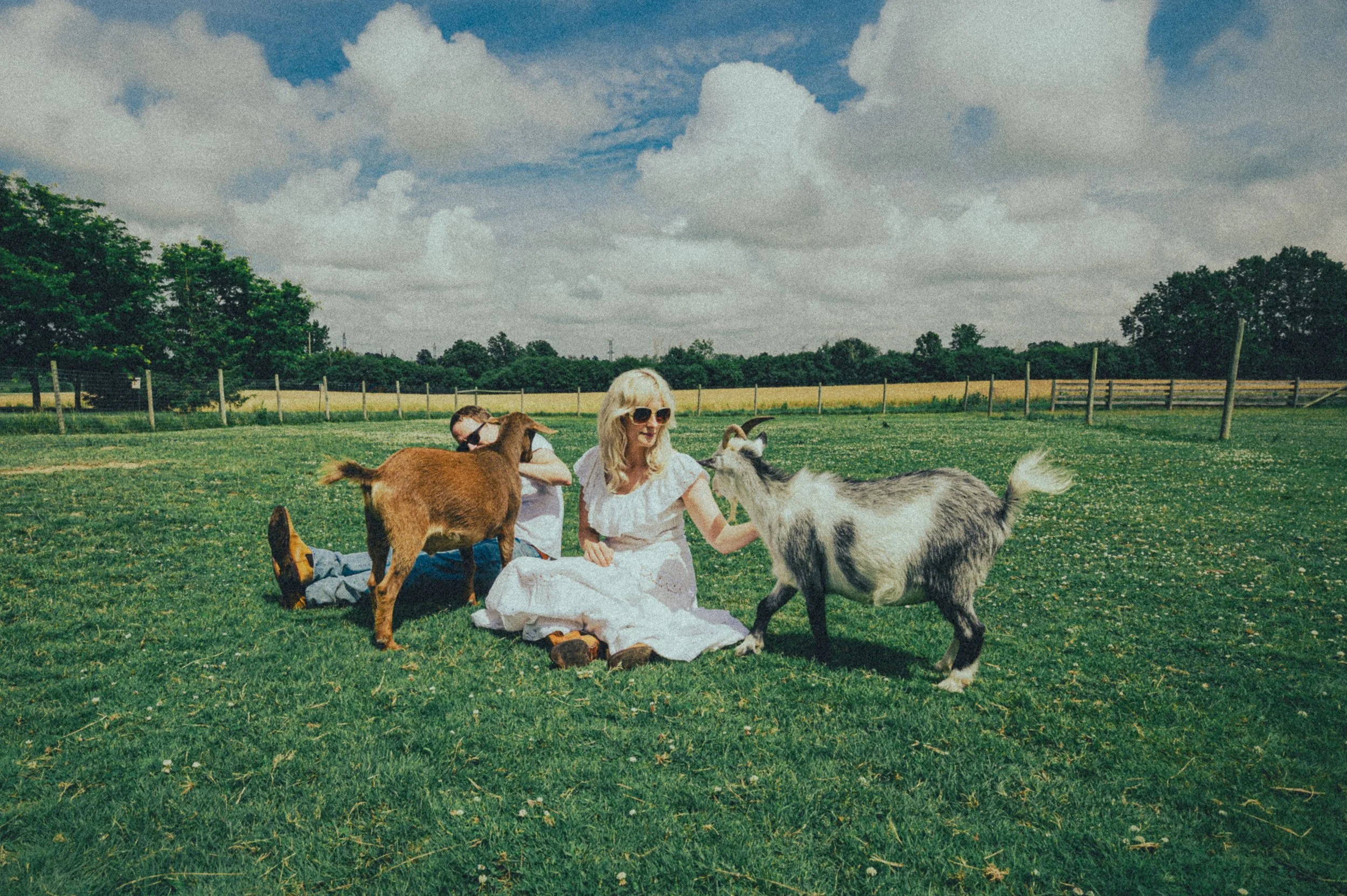 Whitehorse Releases All I Want Is All of It