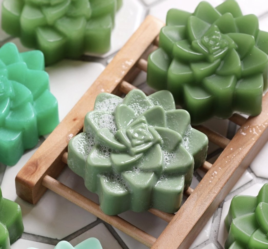 Succulent Soap Bar