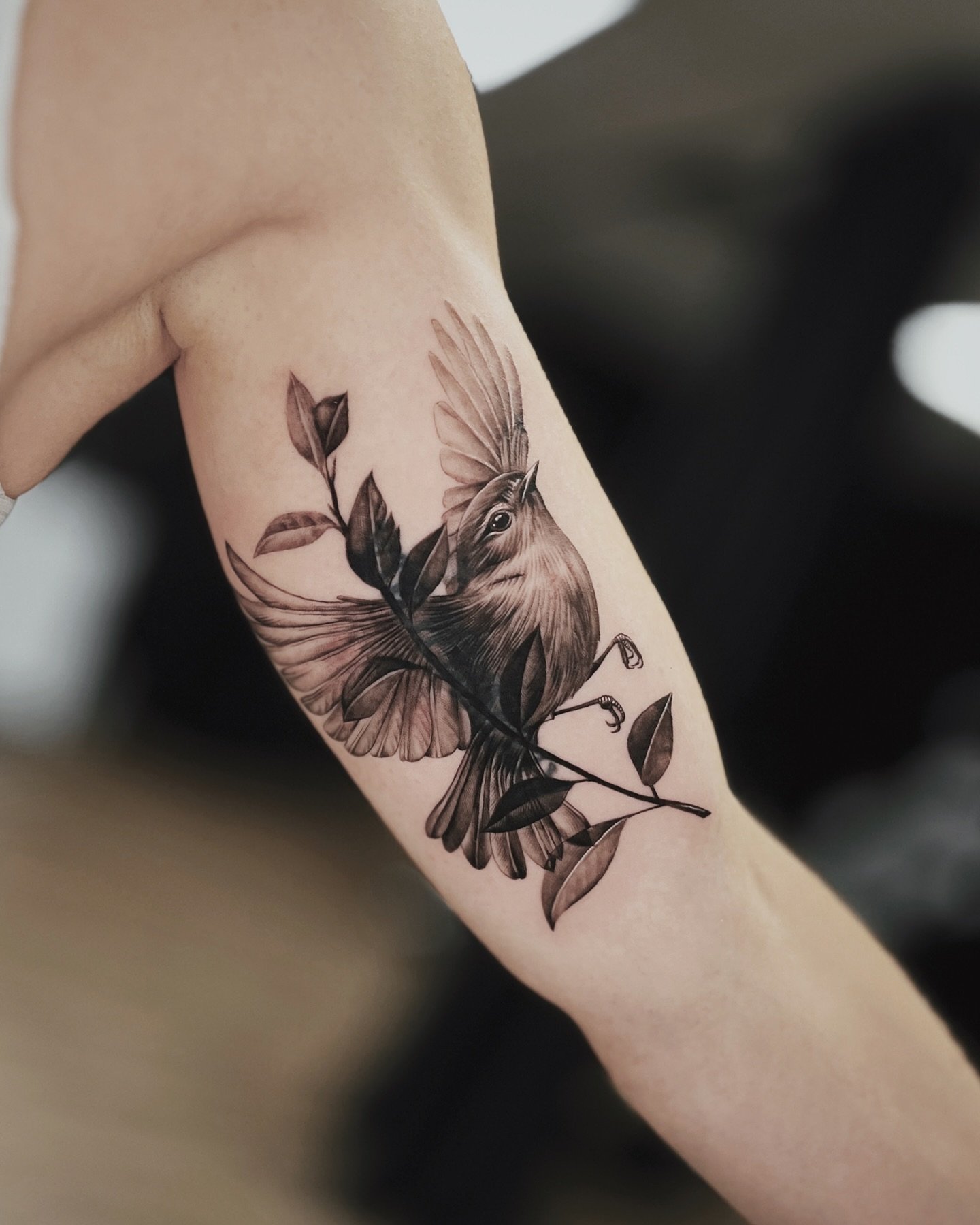 A coverup for Rachael from last week 🖤 Thank you so much for your full trust to design this piece :)
⠀⠀⠀⠀⠀⠀⠀⠀⠀
done at @tombstonetattoo.ltd 
.
.
.
#tombstonetattoo #stittsville #ottawatattoo #ottawatattooartist #ottawatattooer #ottawa #ottawaart #ot