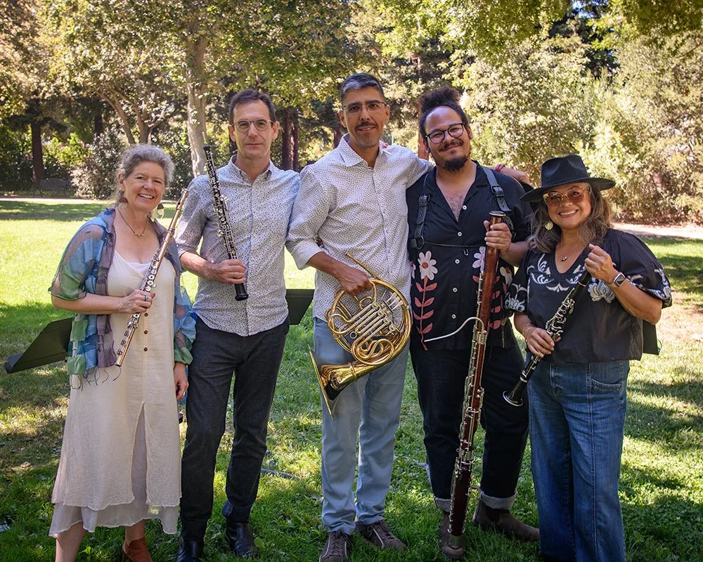 Concert at the Park